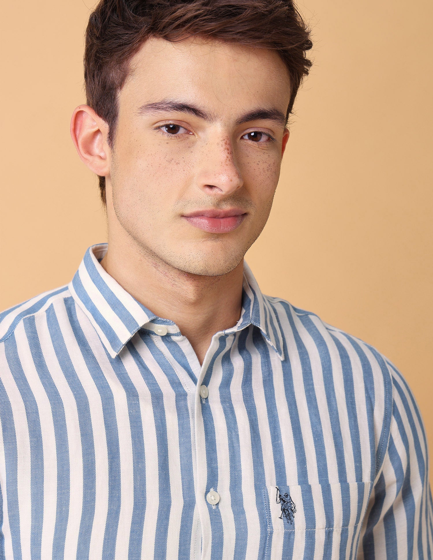 Vertical Striped Regular Fit Shirt Blue - U.S. Polo Assn. India | Large