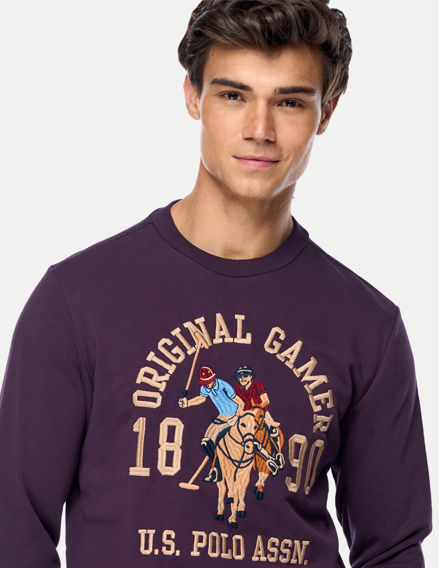 Graphic Brand Printed Regular Fit Sweatshirt Purple - U.S. Polo Assn. India | Large