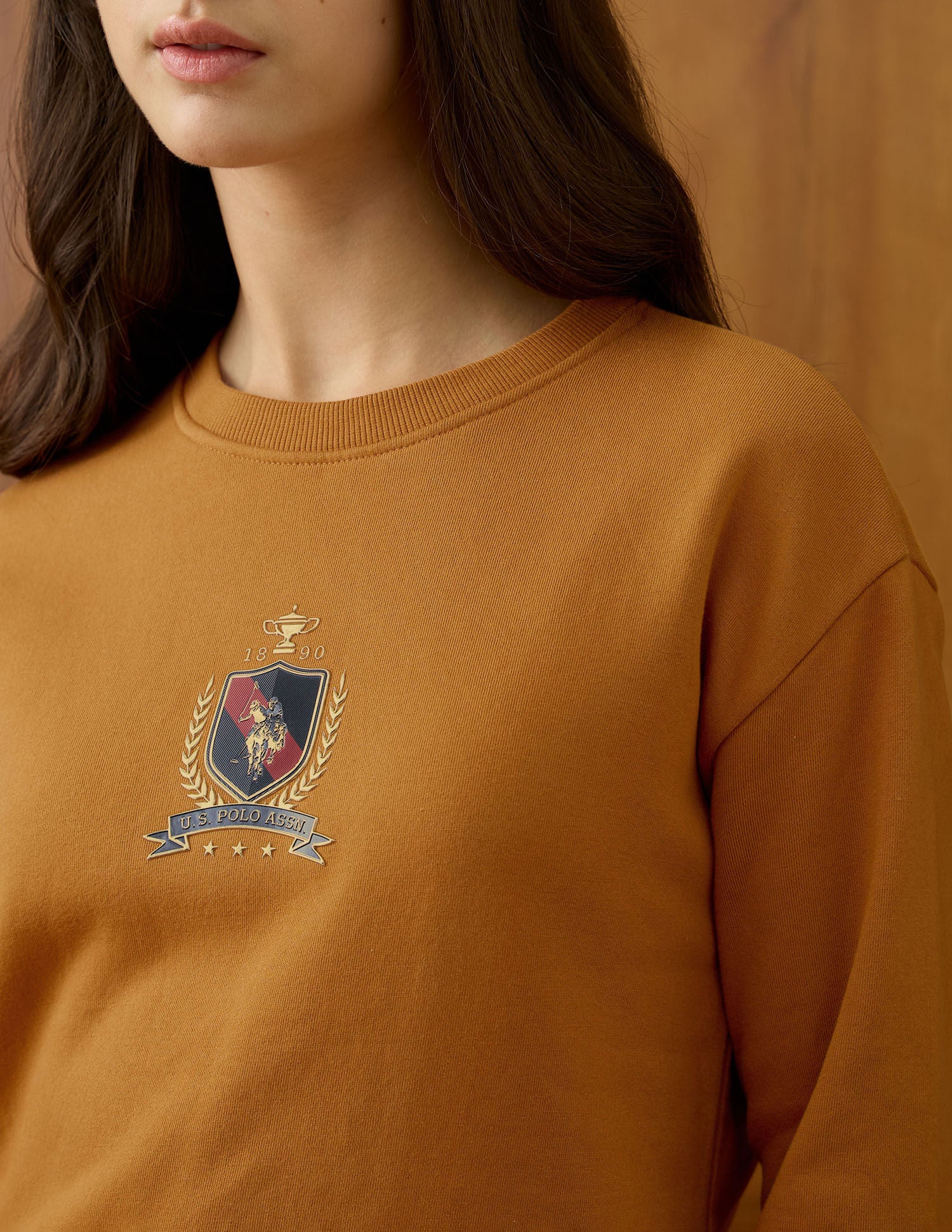 Relaxed Fit Brand Printed Sweatshirt Orange - U.S. POLO ASSN. | Large