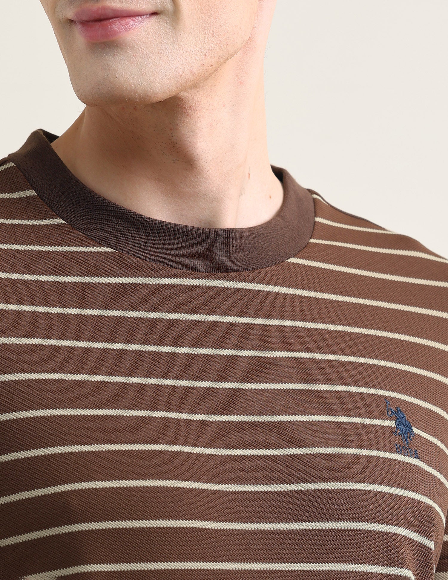 Horizontal Striped Slim Fit T-Shirt Brown - U.S. Polo Assn. India | Large
