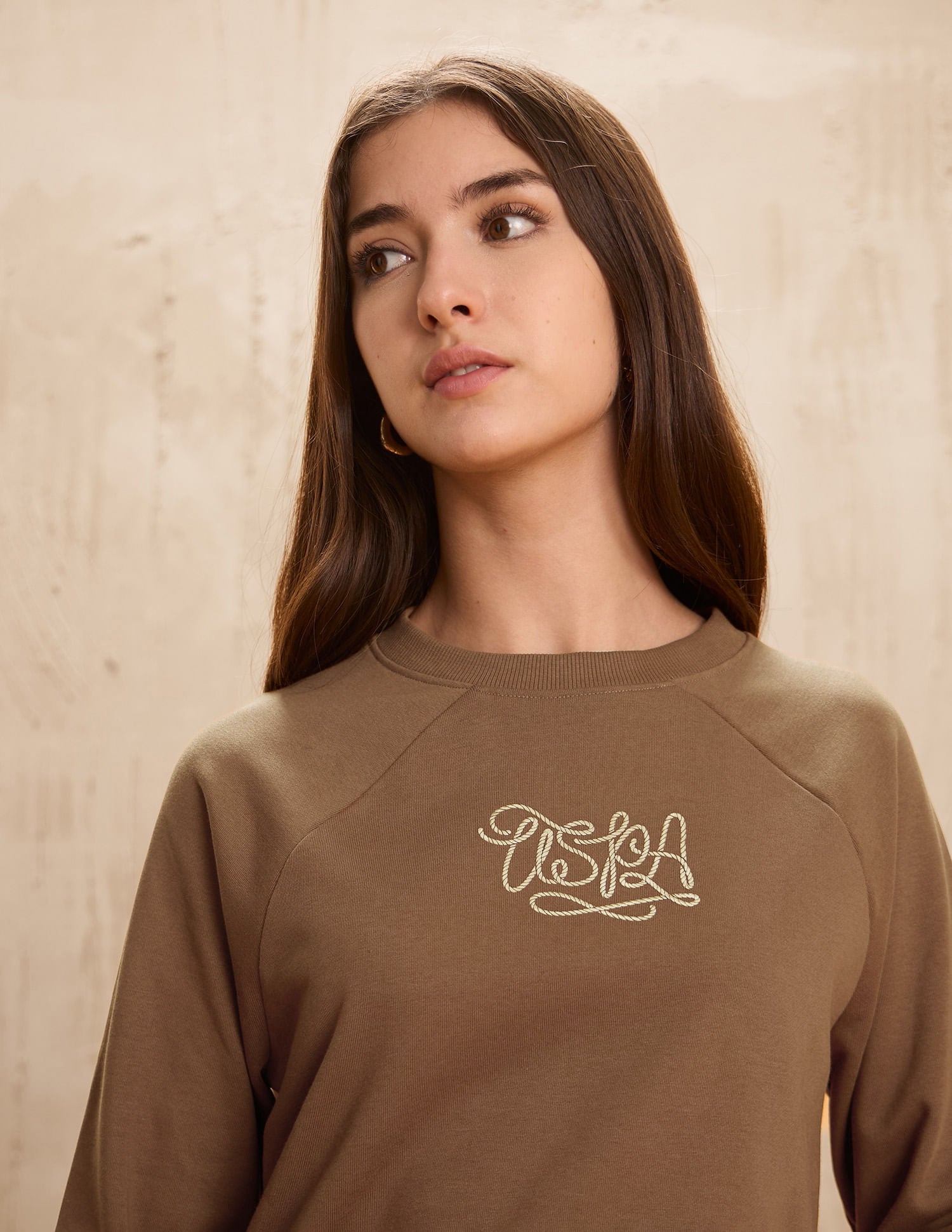 Raglan Fit Brand Printed Sweatshirt Brown - U.S. POLO ASSN. | Large