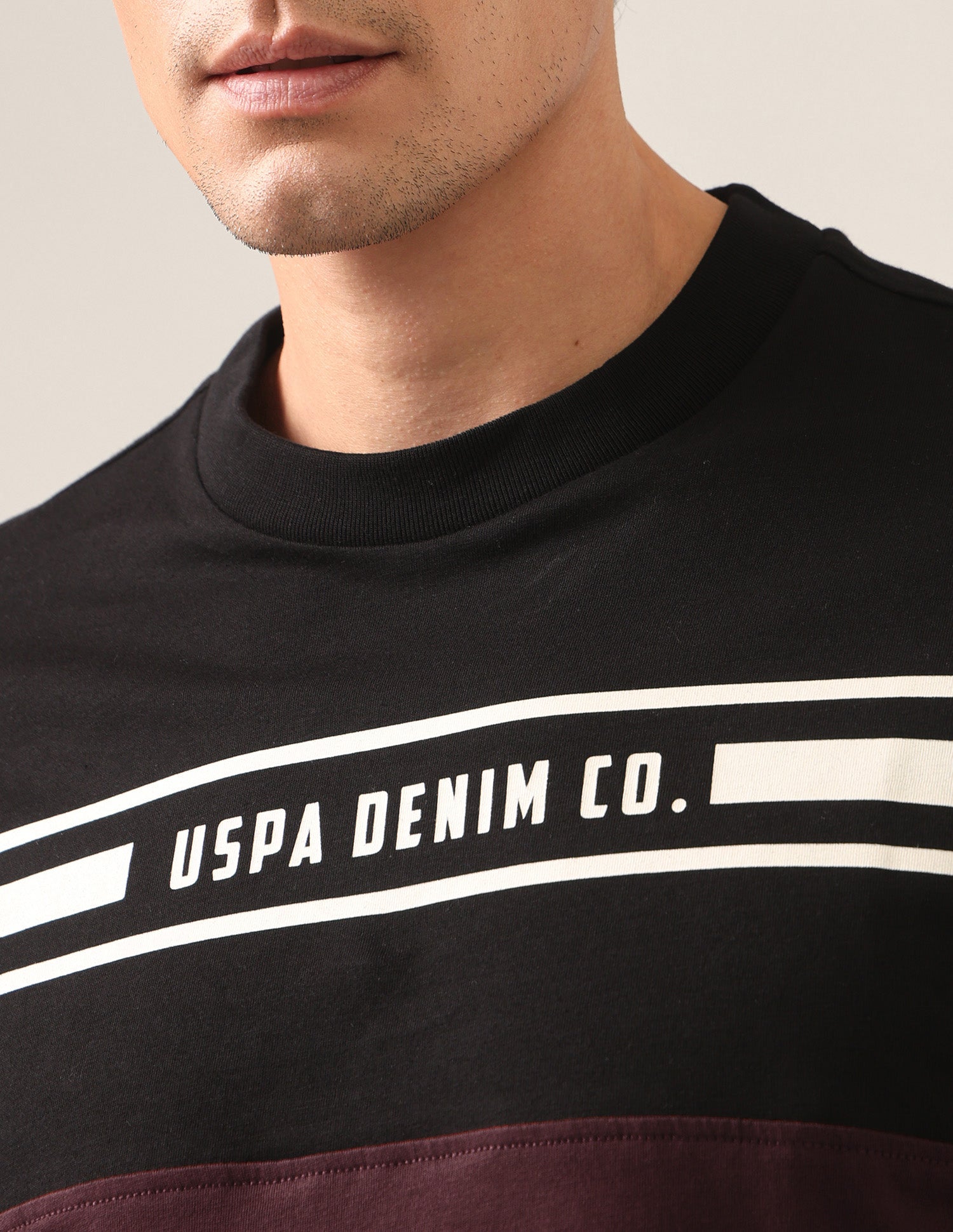 Colourblocked Regular Fit T-Shirt Black - U.S. Polo Assn. India | Large