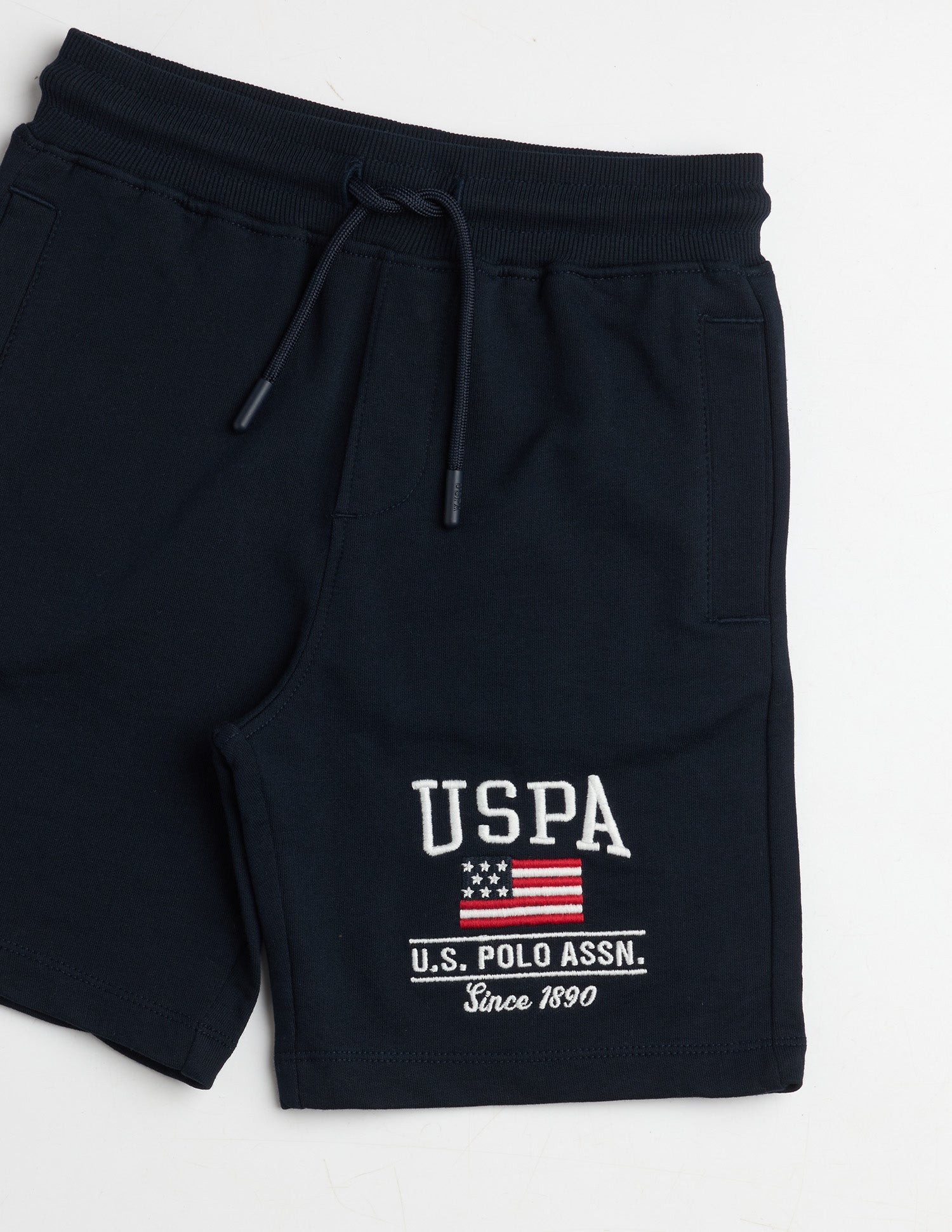 Boys Brand Printed Regular Fit Shorts Navy - U.S. Polo Assn. India | Large