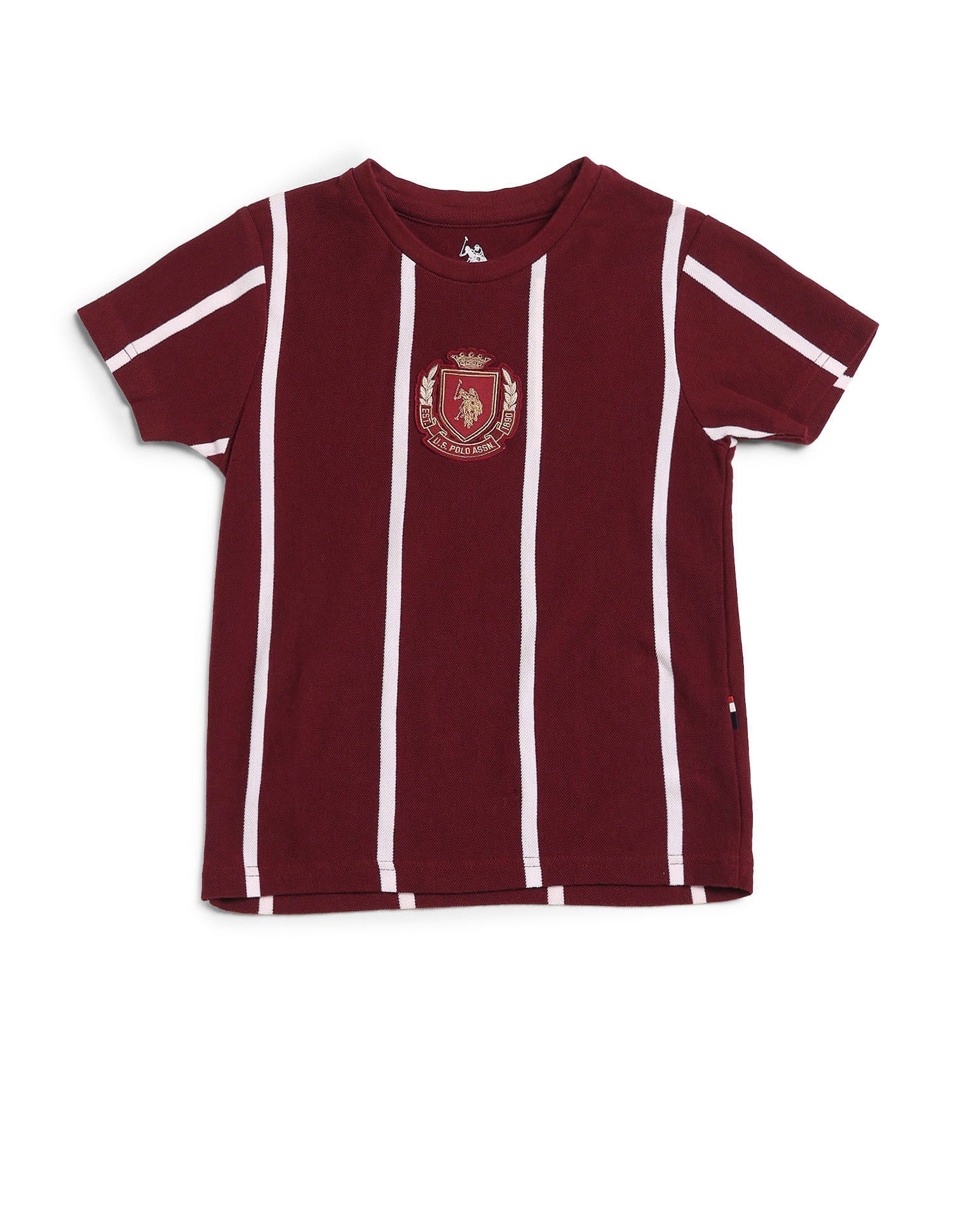 Boys Vertical Striped Regular Fit T-Shirt Maroon - U.S. POLO ASSN. | Large