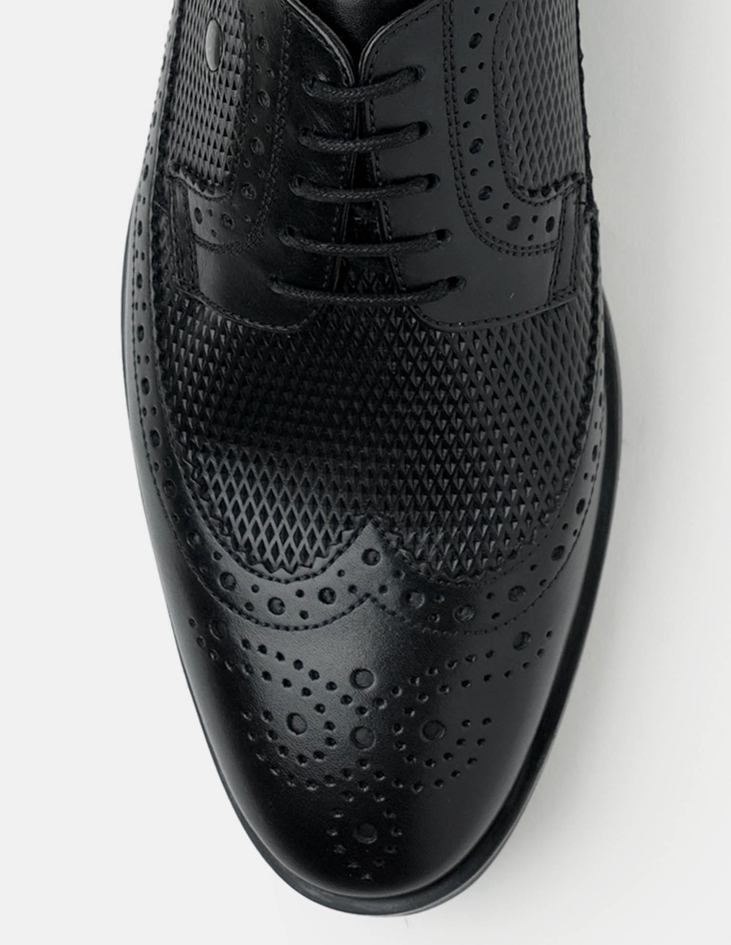 Denise 4.0 Leather Brogues Black - U.S. Polo Assn. India | Large