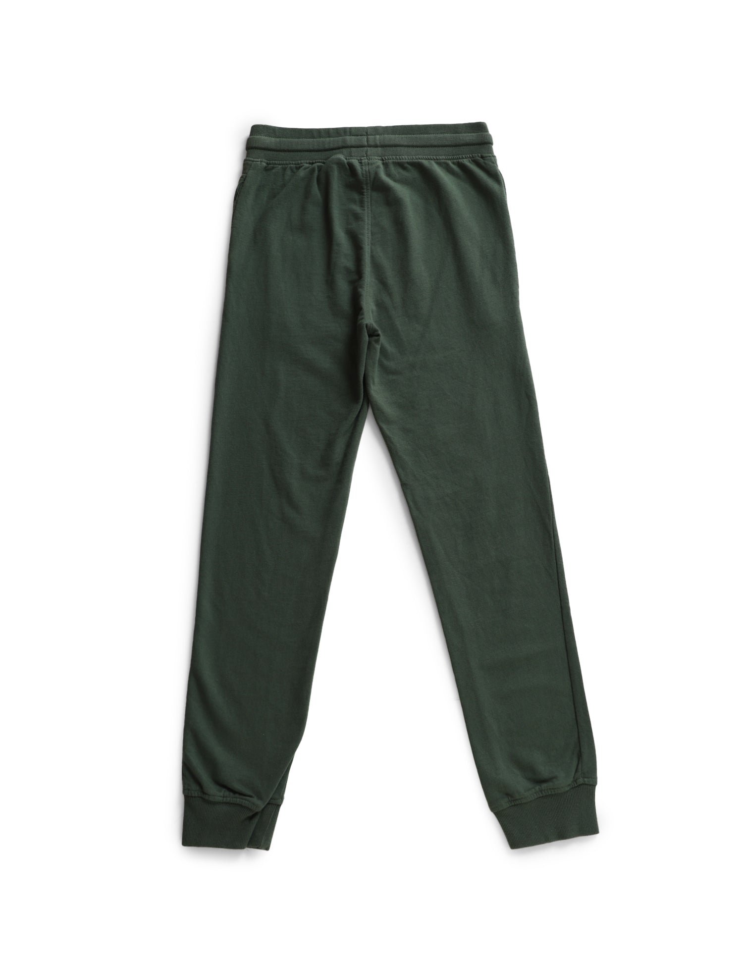 Boys Green Drawstring Waist Brand Print Joggers Green - U.S. Polo Assn. India | Large