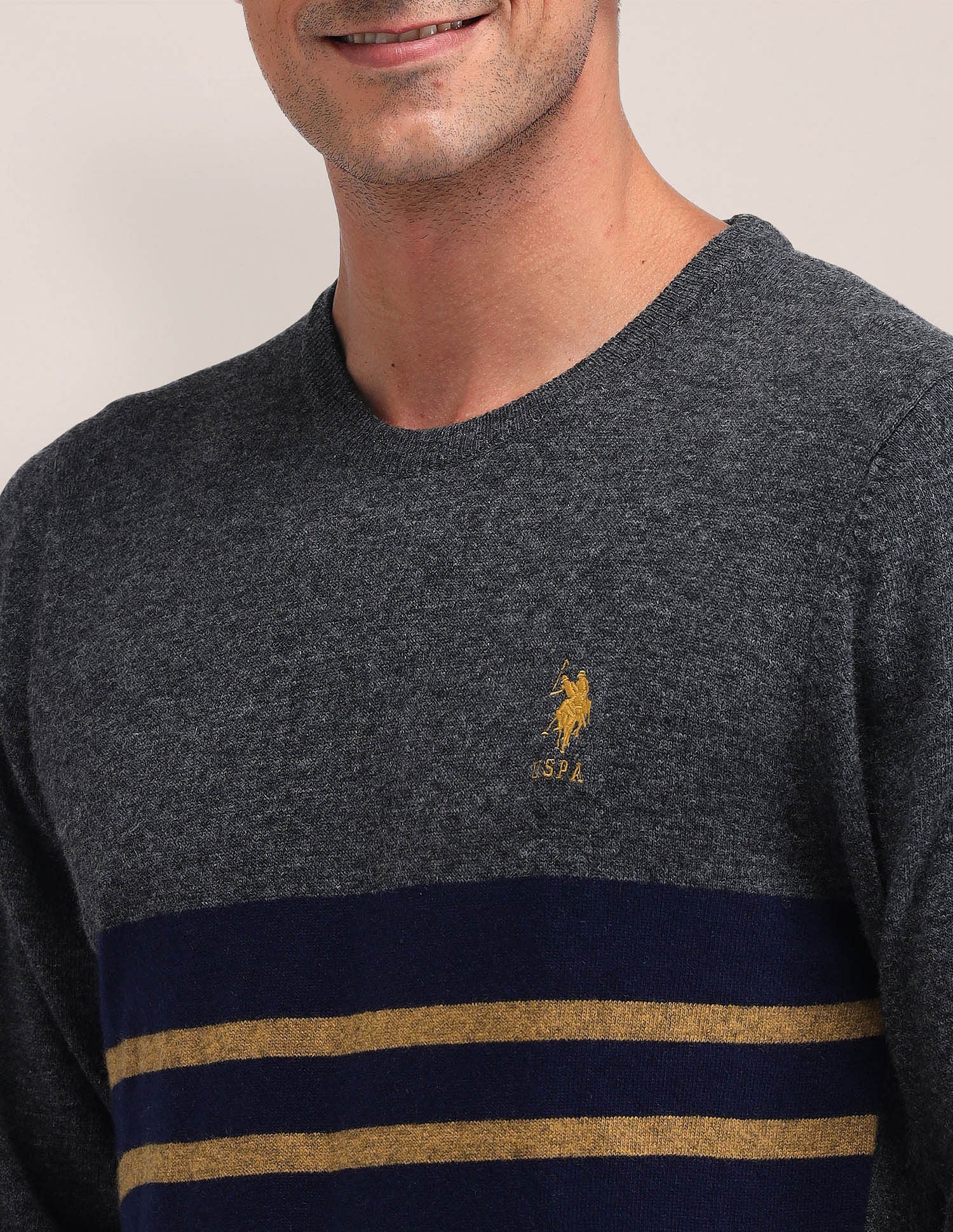 Regular Fit Striped Sweater Charcoal - U.S. Polo Assn. India | Large