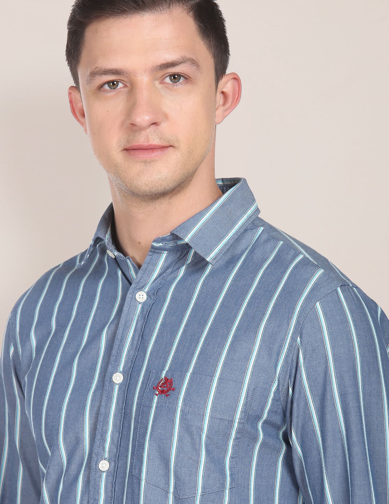 Vertical Stripe Pinpoint Oxford Casual Shirt Blue - U.S. POLO ASSN. | Large