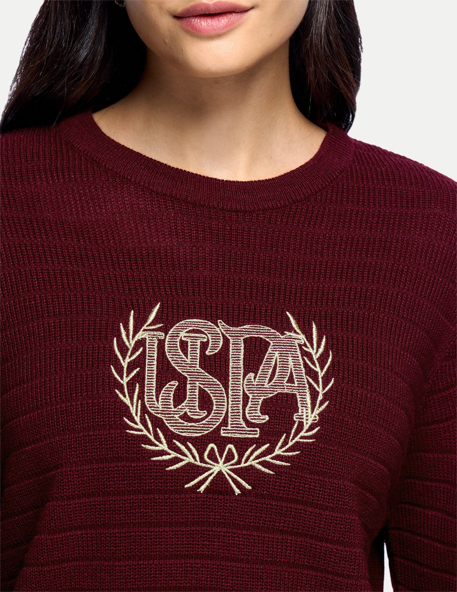 Brand Embroidered Regular Fit Sweater Maroon - U.S. Polo Assn. India | Large