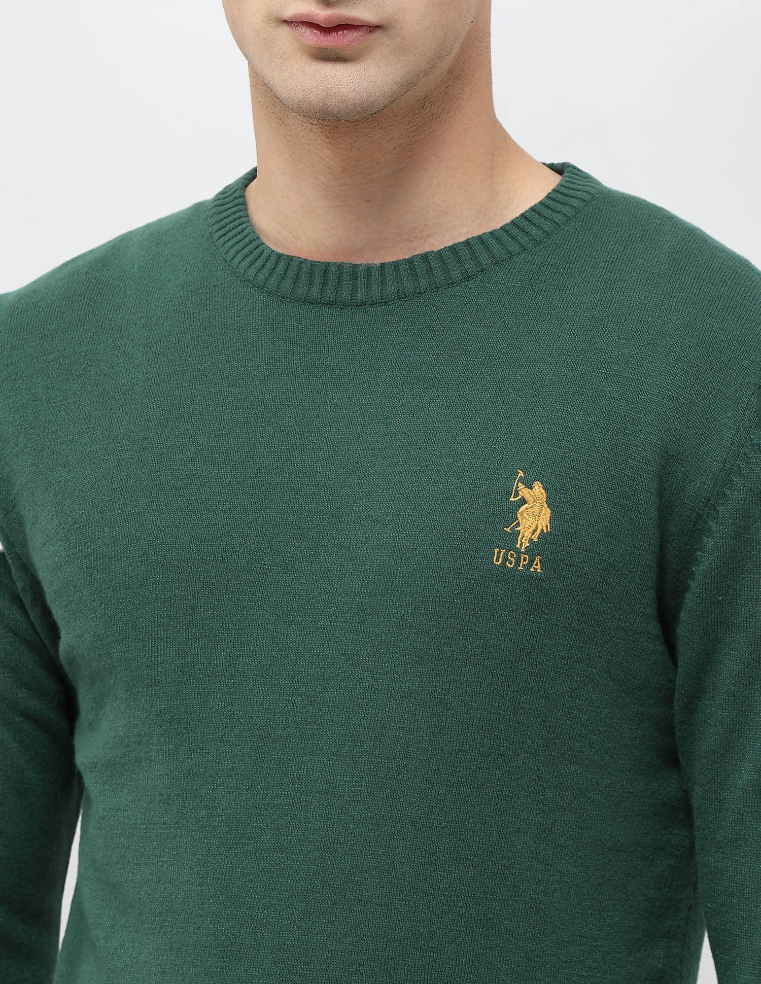 Solid Pattern Regular Fit Sweater Green - U.S. POLO ASSN. | Large