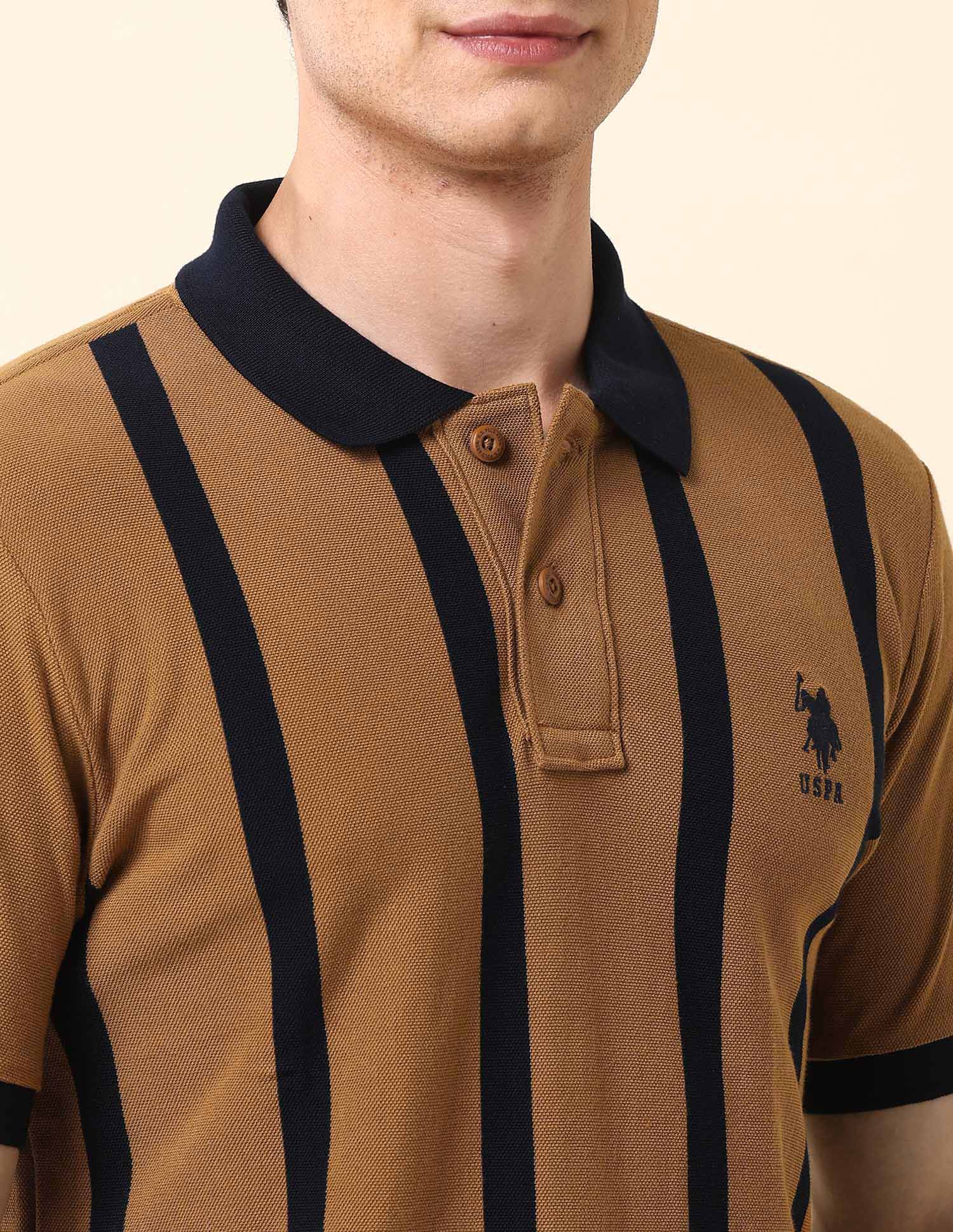 Vertical Striped Pure Cotton Polo Shirt Brown - U.S. Polo Assn. India | Large