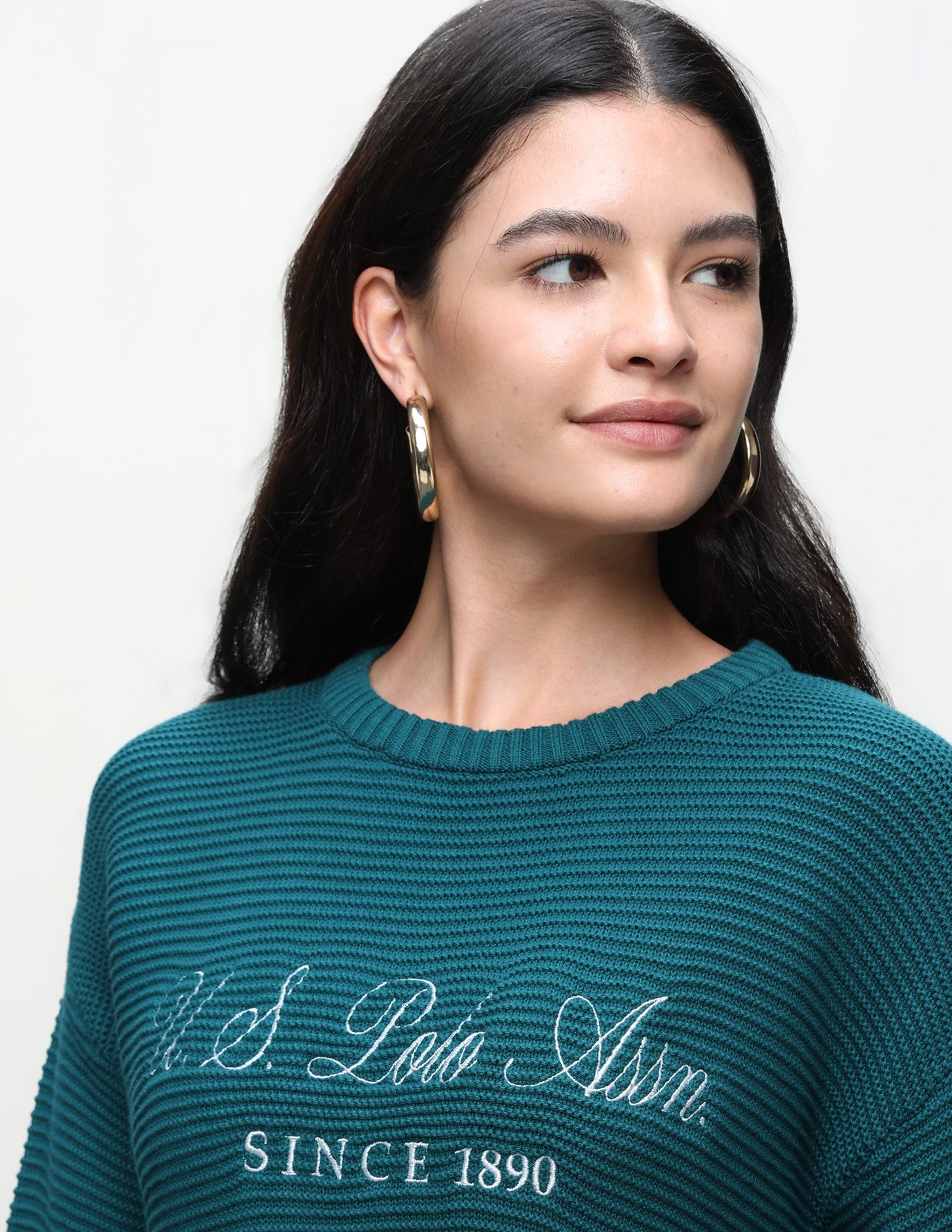 Brand Embroidered Regular Fit Sweater Teal - U.S. Polo Assn. India | Large