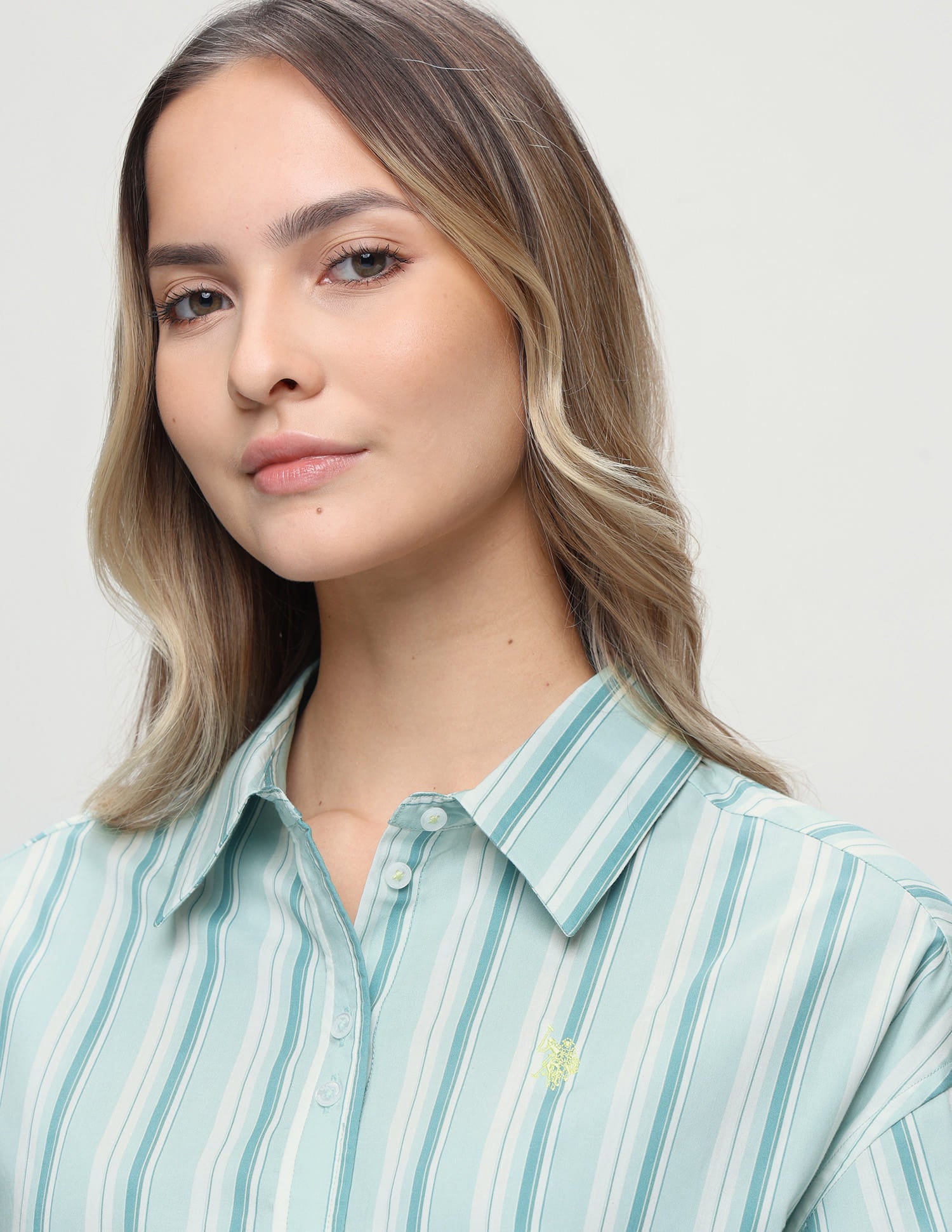 Vertical Striped Boyfriend Fit Shirt Green - U.S. Polo Assn. India | Large