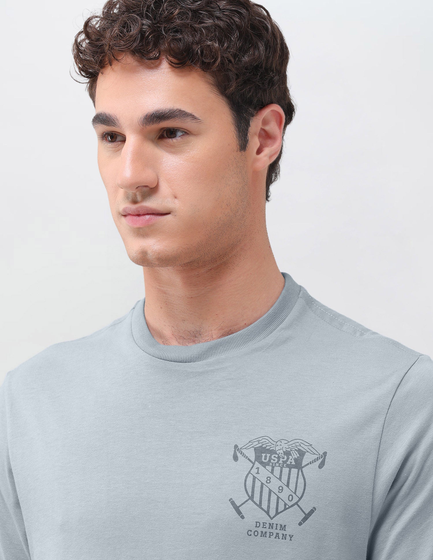 Graphic Brand Printed Relaxed Fit T-Shirt Grey - U.S. Polo Assn. India | Large