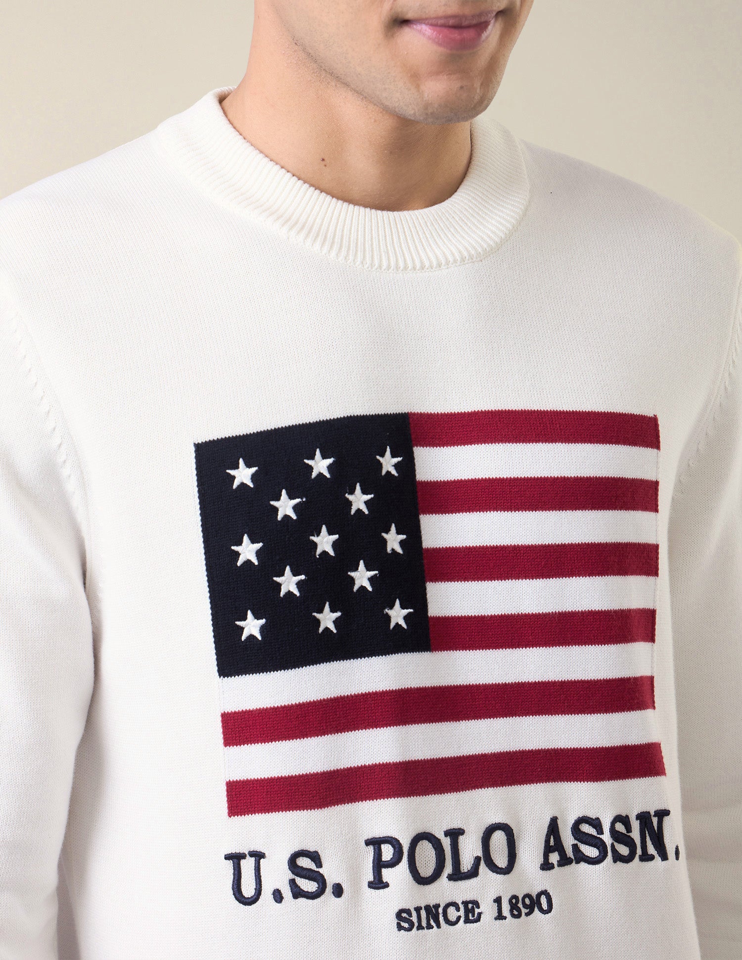 Brand Patterned Knit Slim Fit Sweater White - U.S. Polo Assn. India | Large