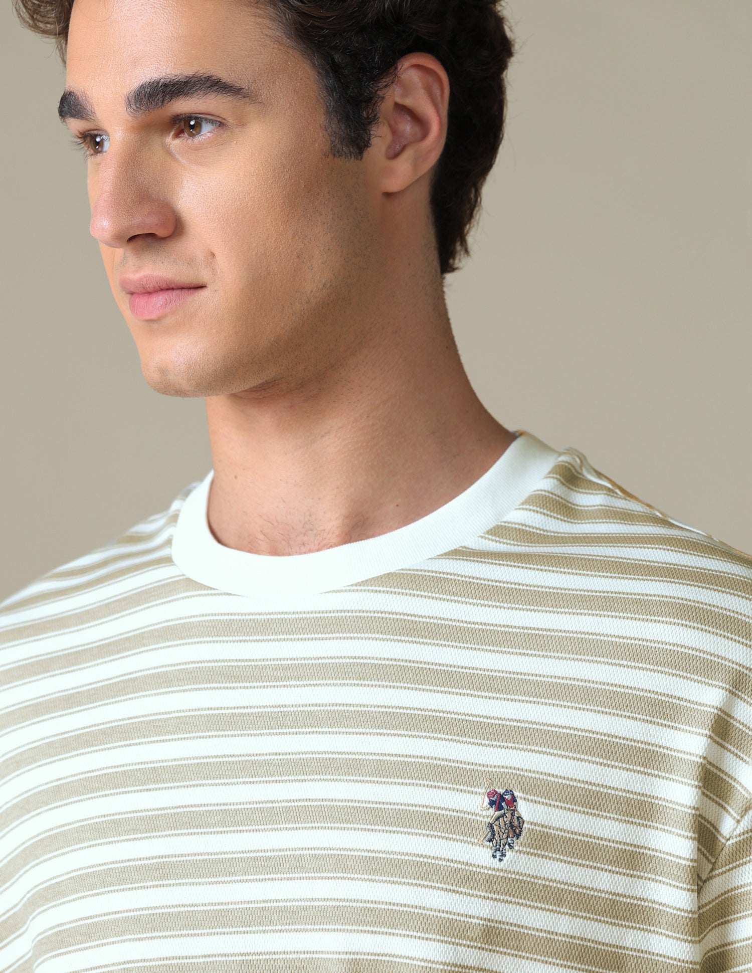 Relaxed Fit Horizontal Striped T-Shirt Khaki - U.S. Polo Assn. India | Large