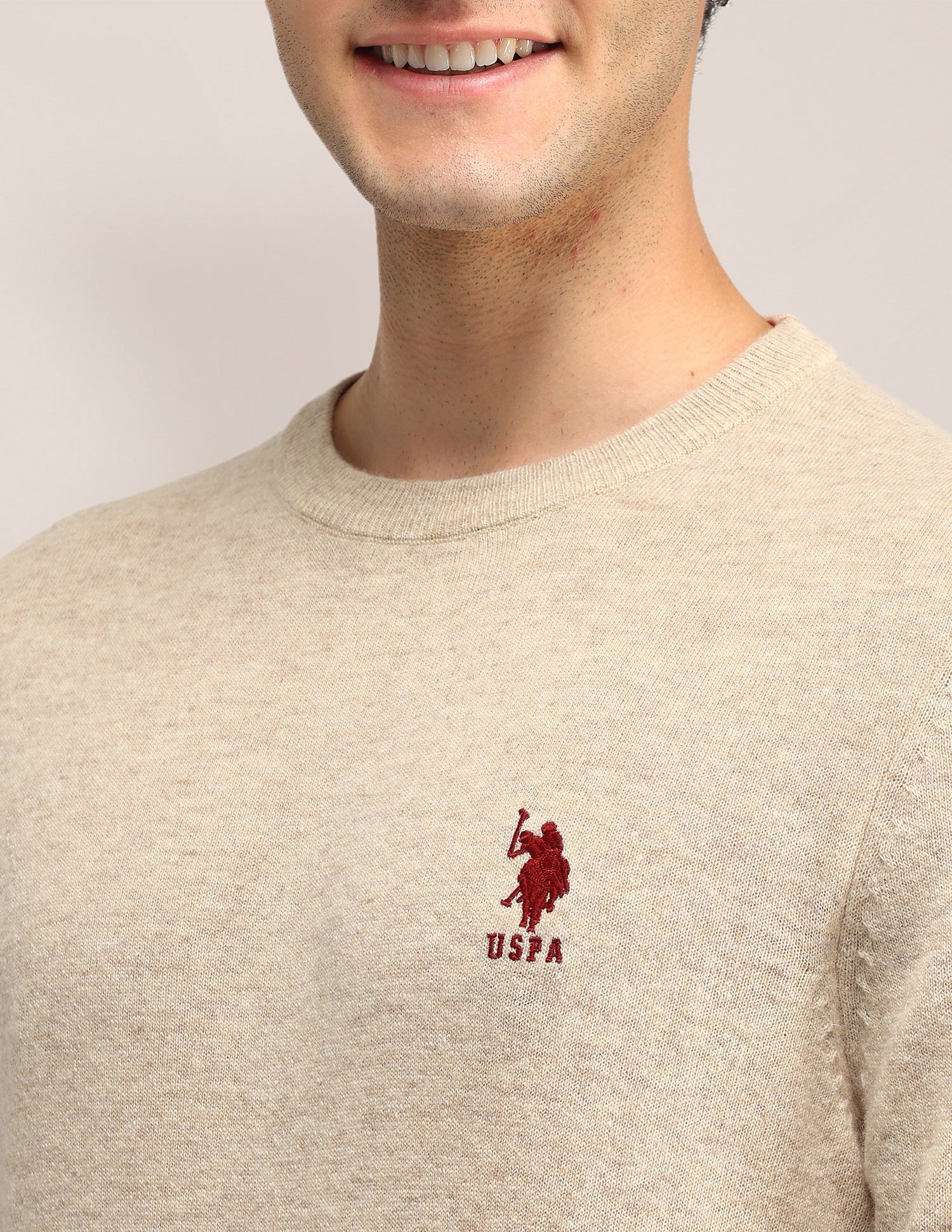 Textured Regular Fit Sweater Beige - U.S. Polo Assn. India | Large