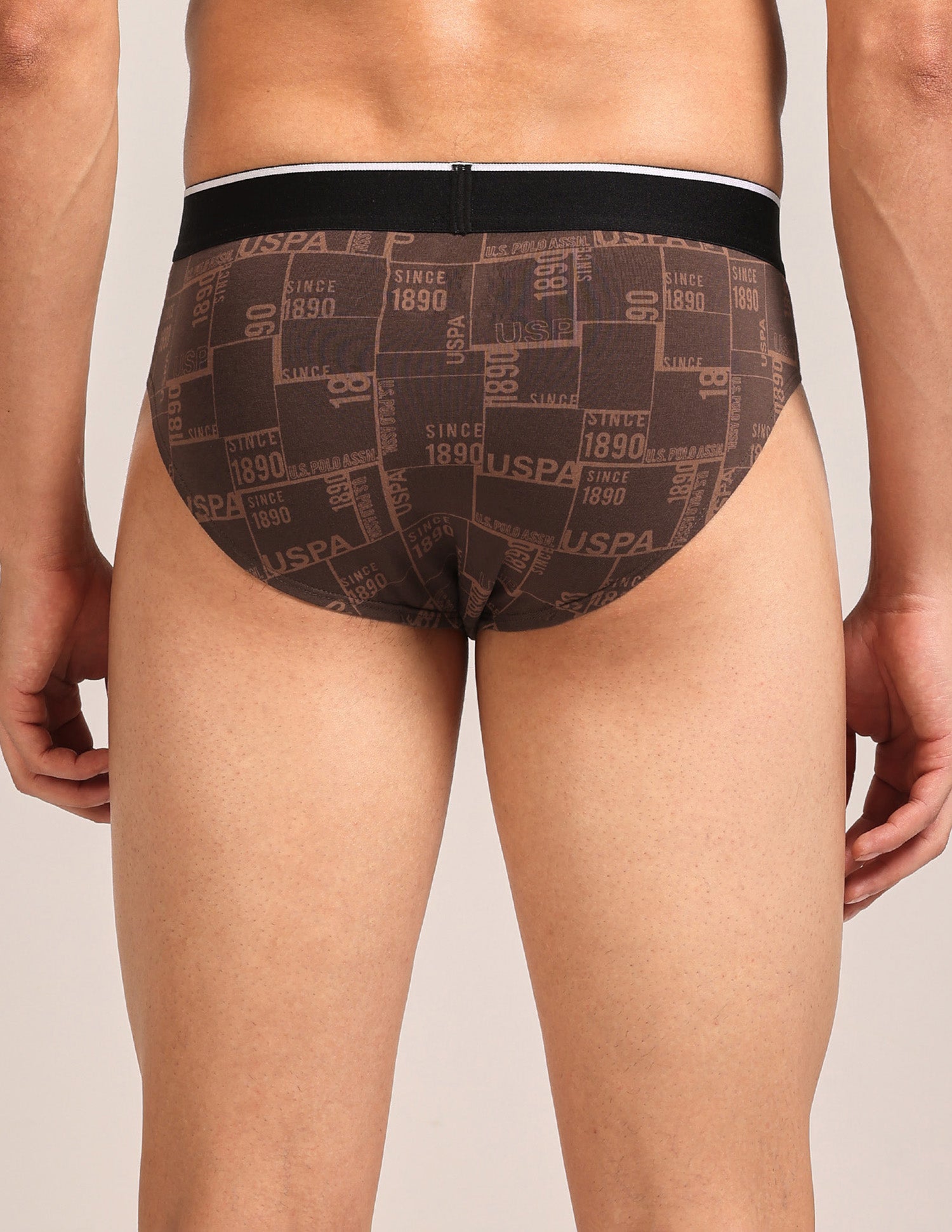 Abrasion Free Printed OEB24 Briefs - Pack Of 3 Blue, Blue, Bracken - U.S. Polo Assn. India | Large