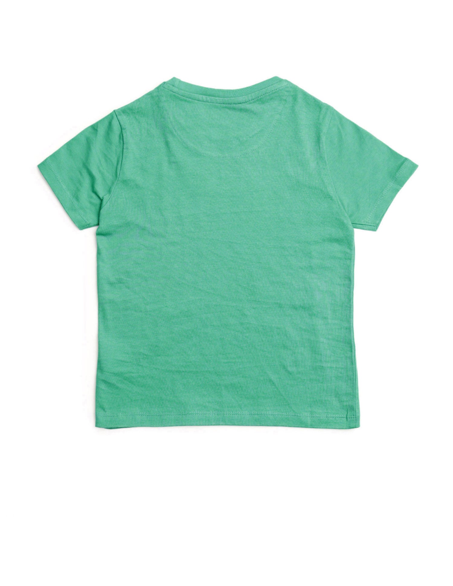 Boys Graphic Printed Regular Fit T-Shirt Dark Green - U.S. POLO ASSN. | Large