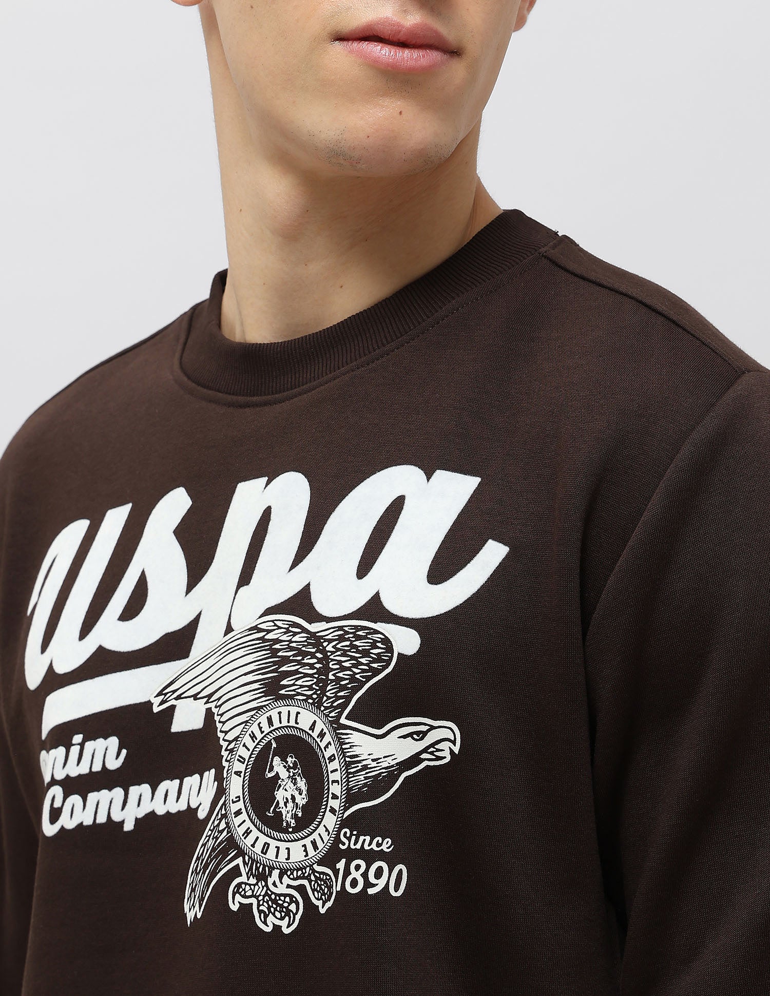 Graphic Brand Printed Sweatshirt Dark Brown - U.S. POLO ASSN. | Large