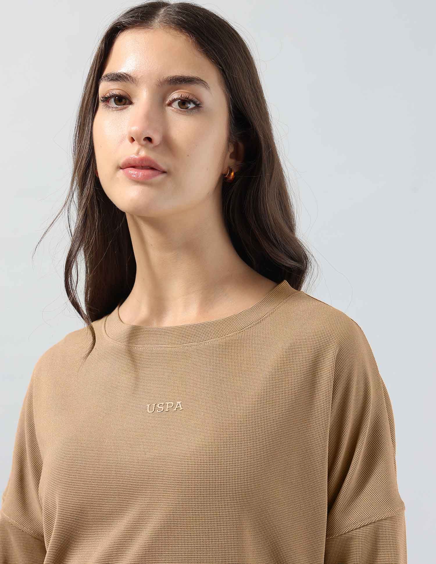 Textured Relaxed Fit T-Shirt Brown - U.S. POLO ASSN. | Large