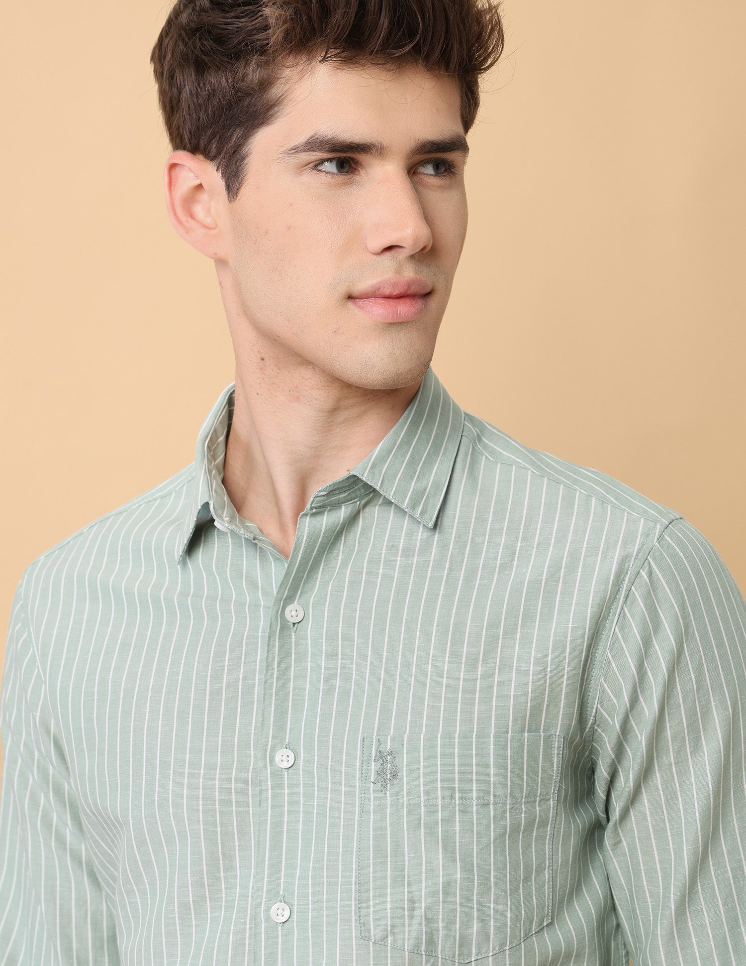 Pacho X Vertical Striped Regular Fit Shirt Sage - U.S. Polo Assn. India | Large