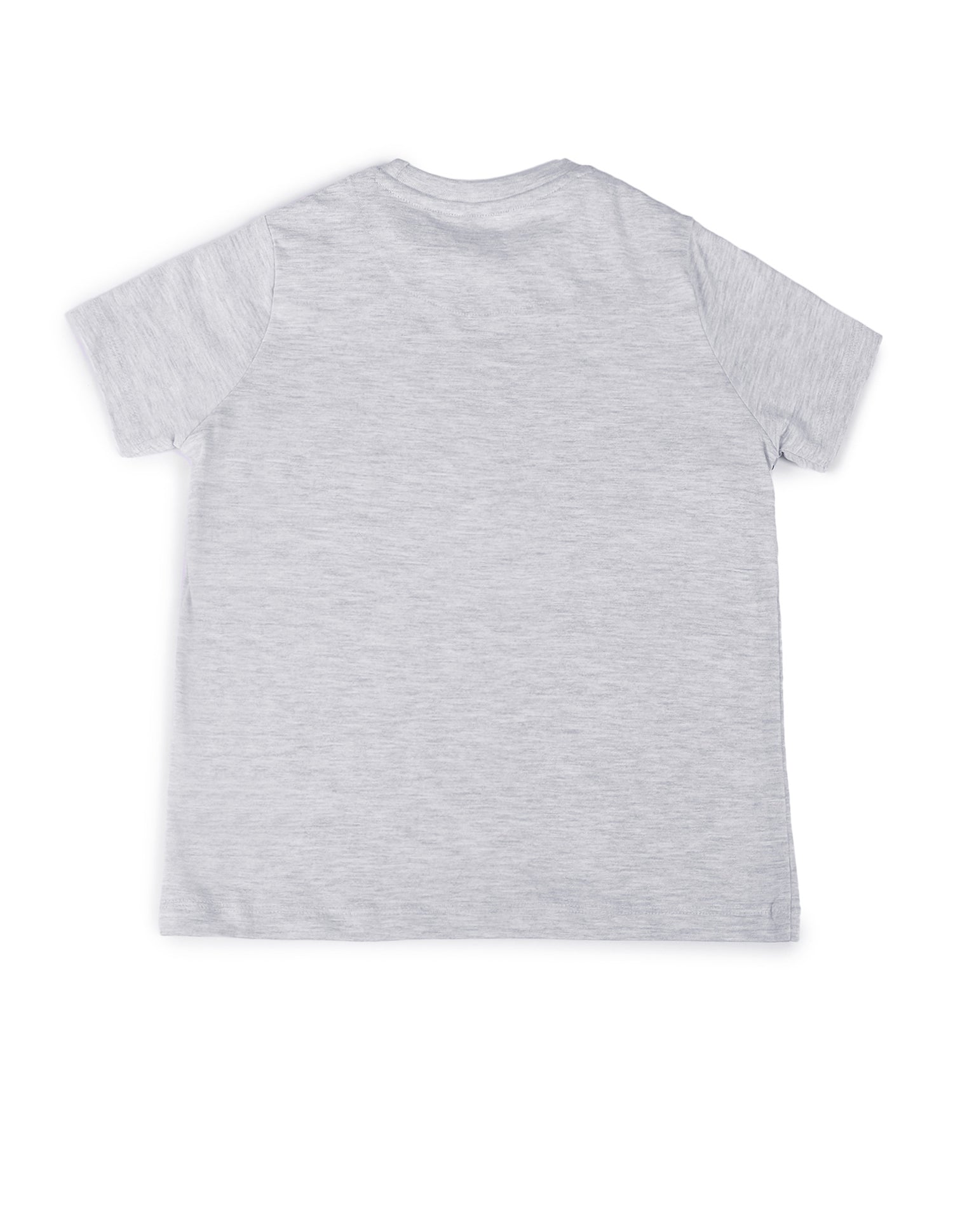 Boys Cotton T-Shirt Grey - U.S. POLO ASSN. | Large