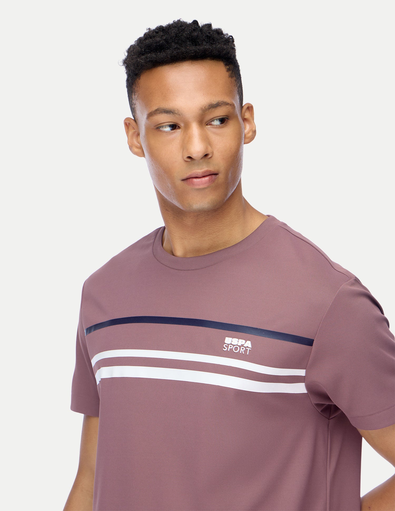 Horizontal Striped Regular Fit Active T-Shirt Lavender - U.S. Polo Assn. India | Large