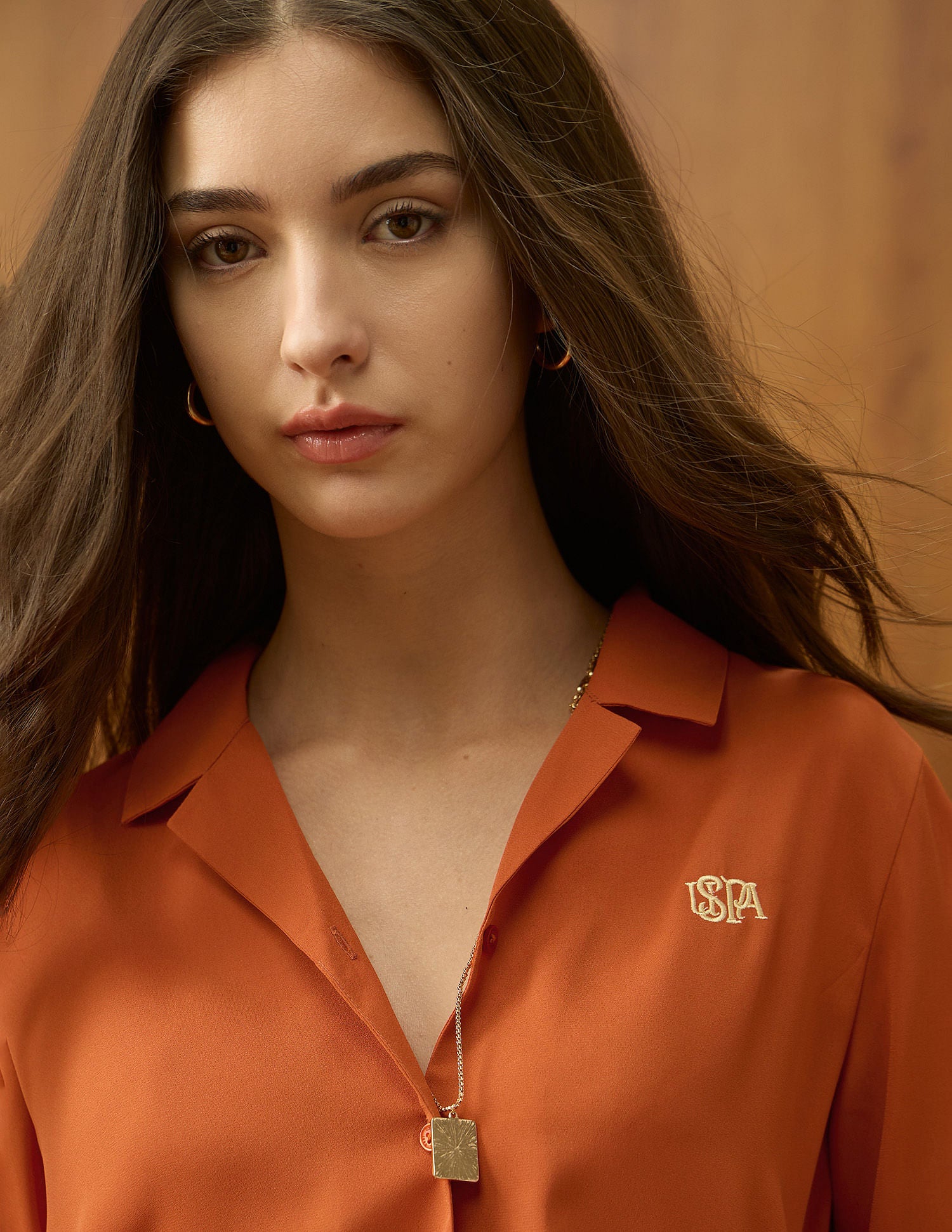 Regular Fit Solid Shirt Rust - U.S. POLO ASSN. | Large