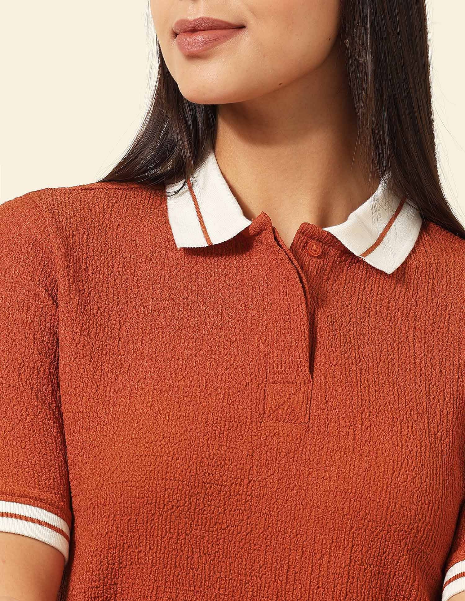 Regular Fit Textured Polo Shirt Rust - U.S. POLO ASSN. | Large