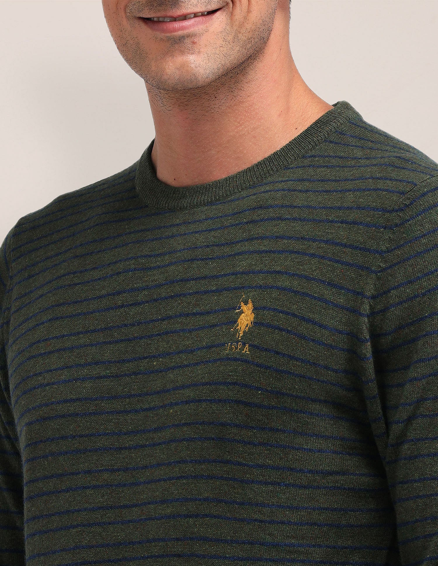 Regular Fit Striped Sweater Green - U.S. Polo Assn. India | Large