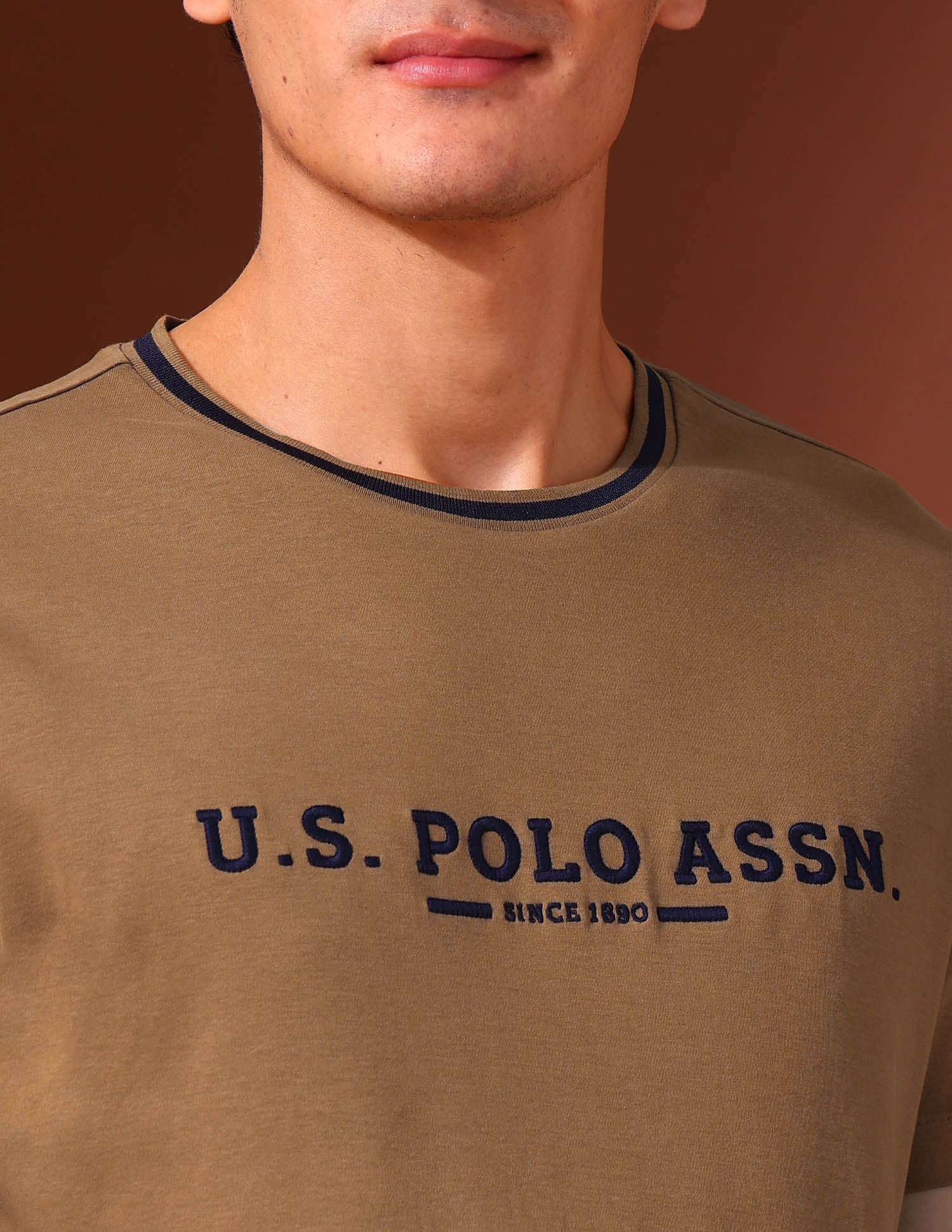 Brand Embroidered Pure Cotton Classic T-Shirt Brown - U.S. Polo Assn. India | Large
