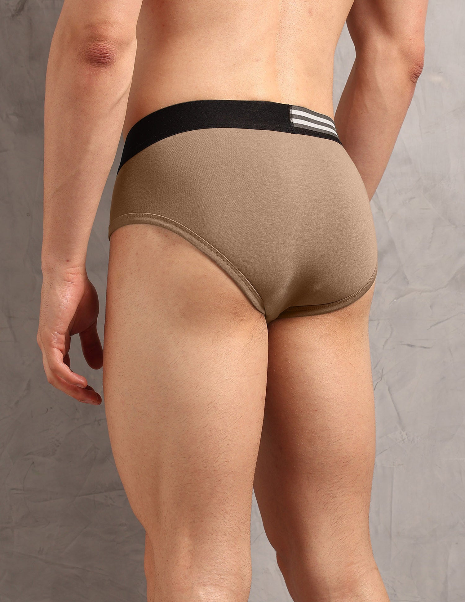 Striped Waistband OEB19 Briefs - Pack Of 2 Coco Creme and Dark Olive - U.S. Polo Assn. India | Large