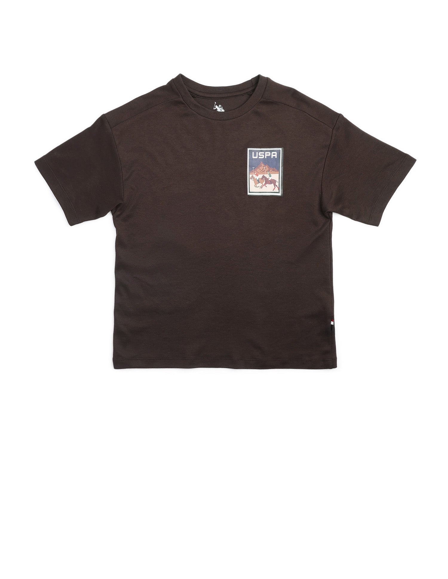 Boys Graphic Brand Printed Boxy Fit T Shirt Dark Brown - U.S. POLO ASSN. | Large