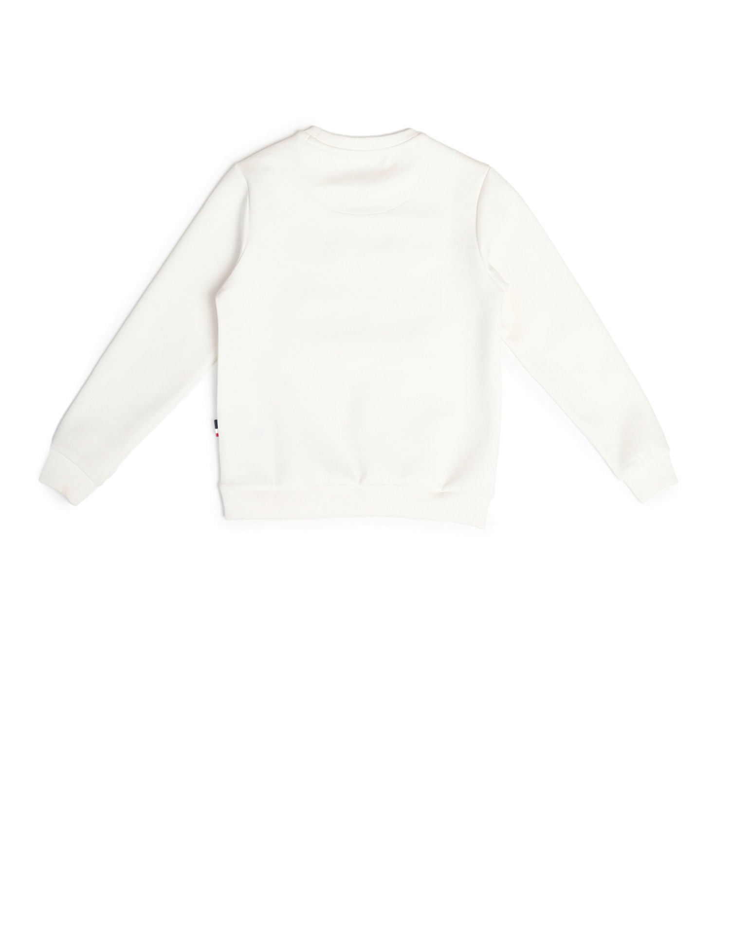 Boys Brand Printed Sweatshirt Green Sheen - U.S. Polo Assn. India | Large