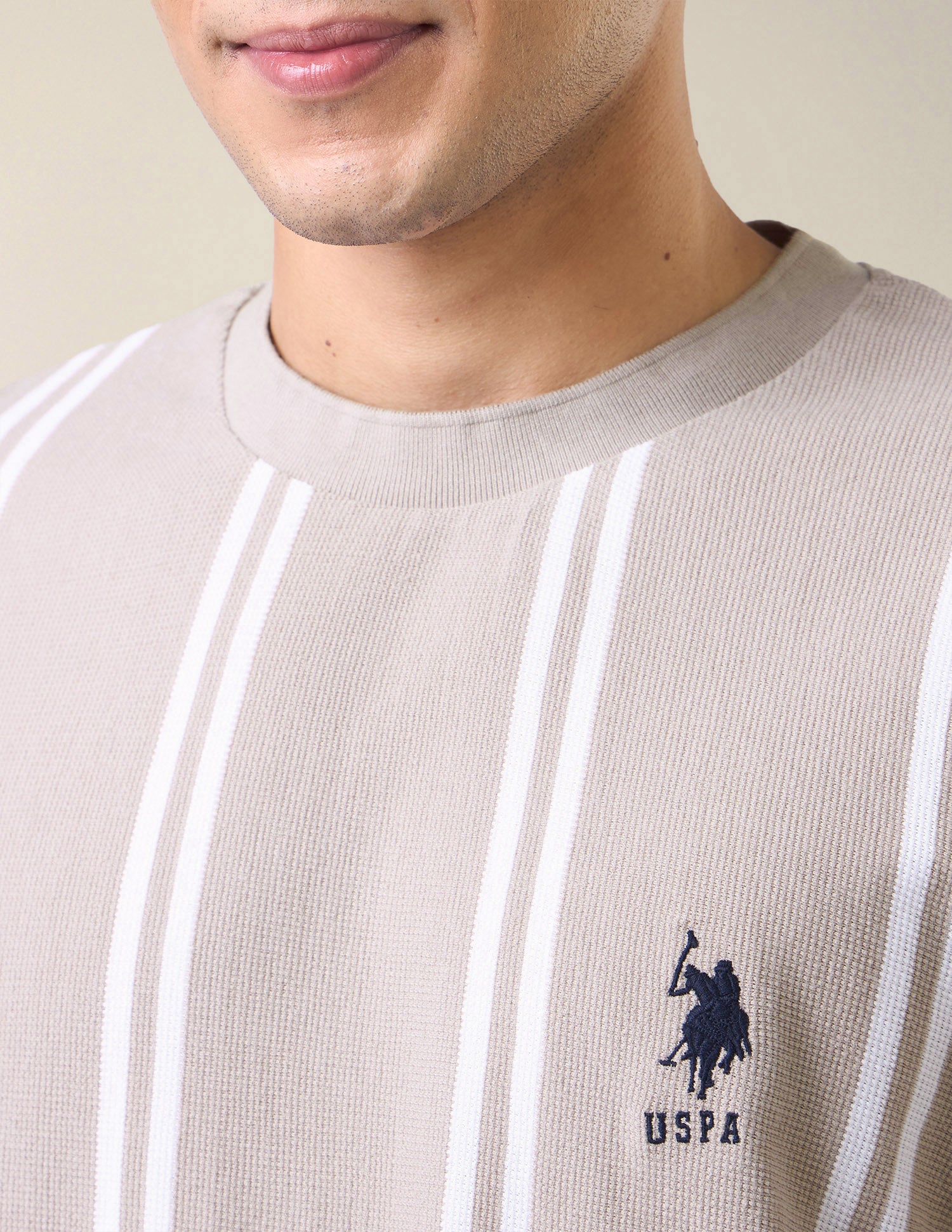 Vertical Striped Slim Fit T-Shirt Beige - U.S. Polo Assn. India | Large