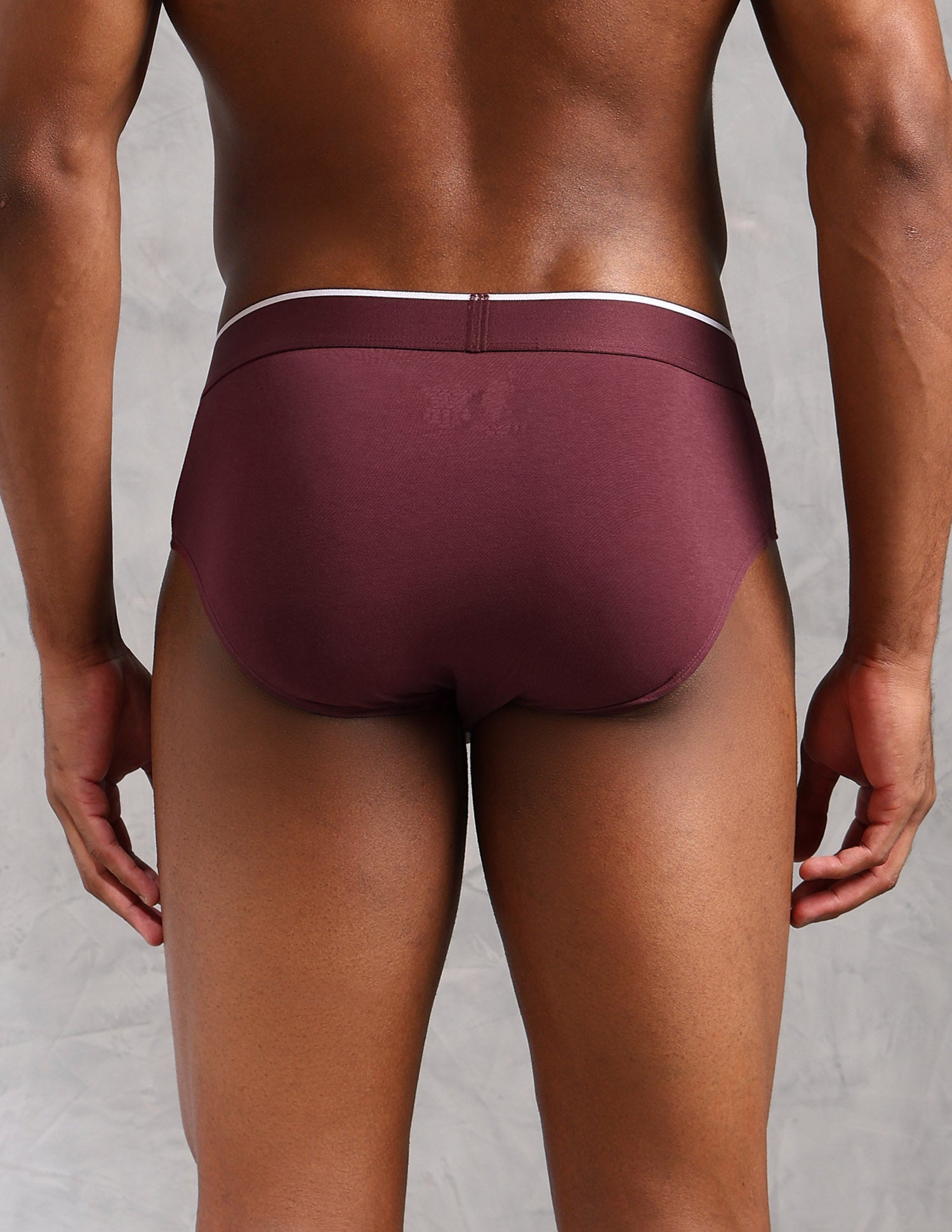 Elasticized Waist Solid EB004 Briefs - Pack Of 2 Port Royal and Olive - U.S. POLO ASSN. | Large