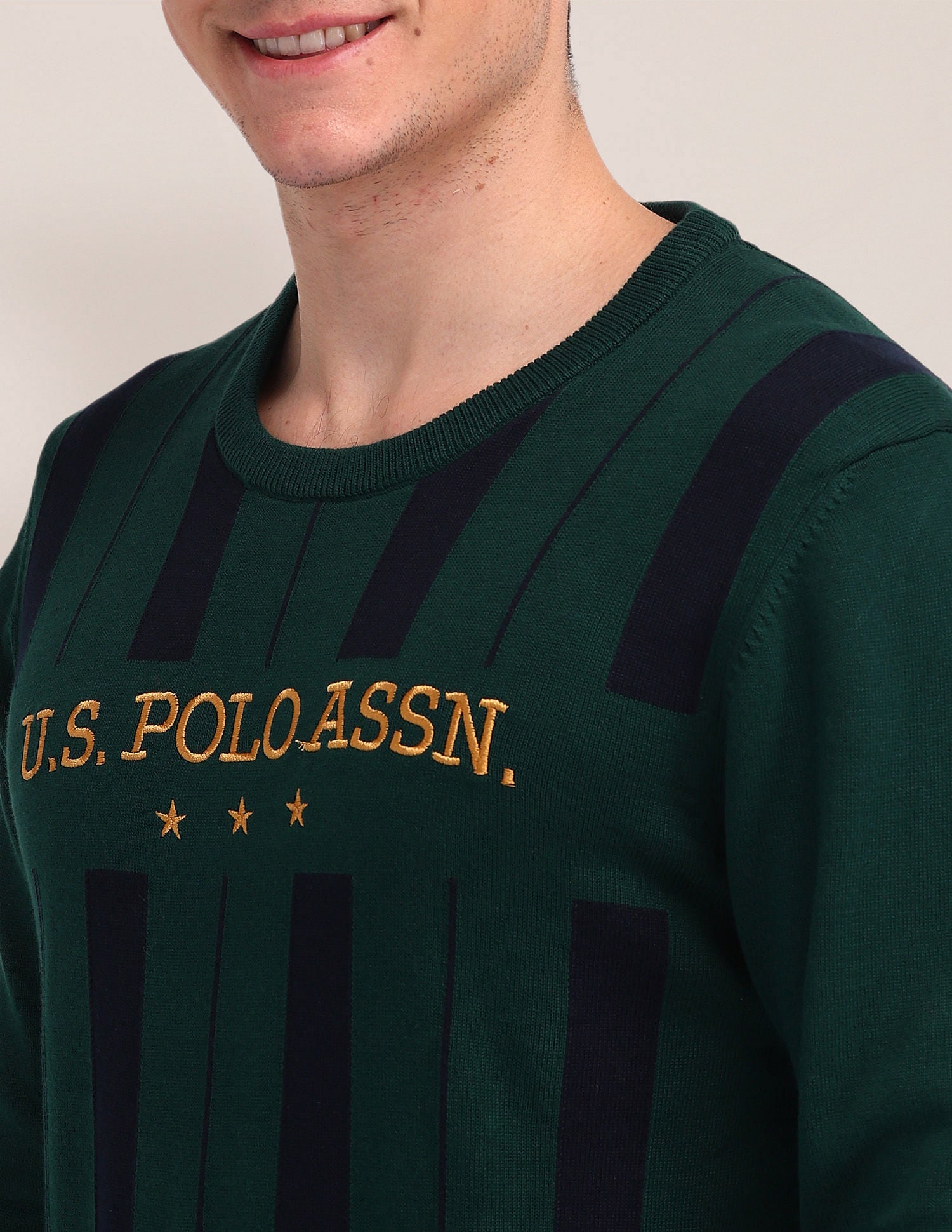 Vertical Striped Embroidered Sweater Olive - U.S. Polo Assn. India | Large