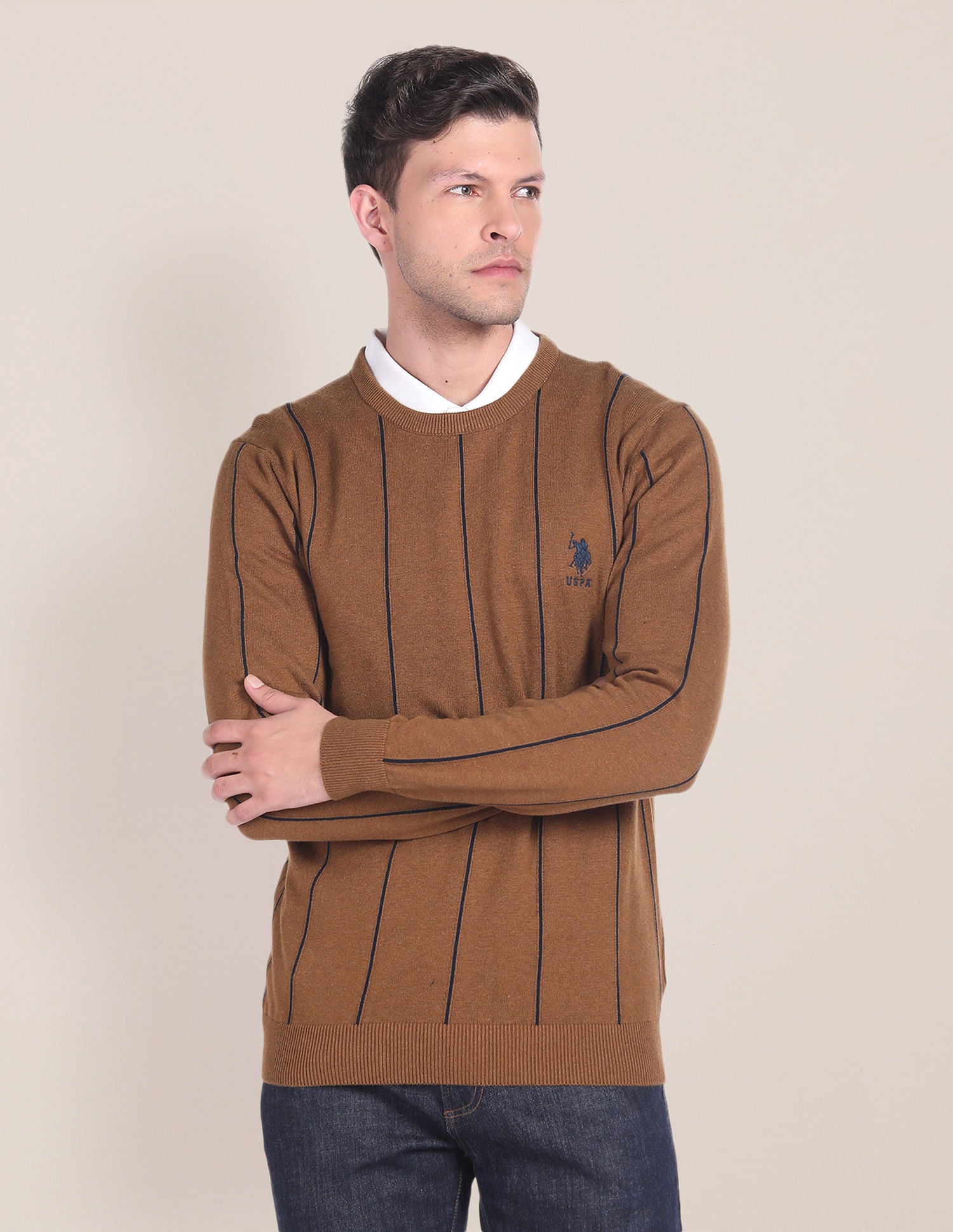 Crew Neck Vertical Stripe Sweater Brown - U.S. POLO ASSN. | Large