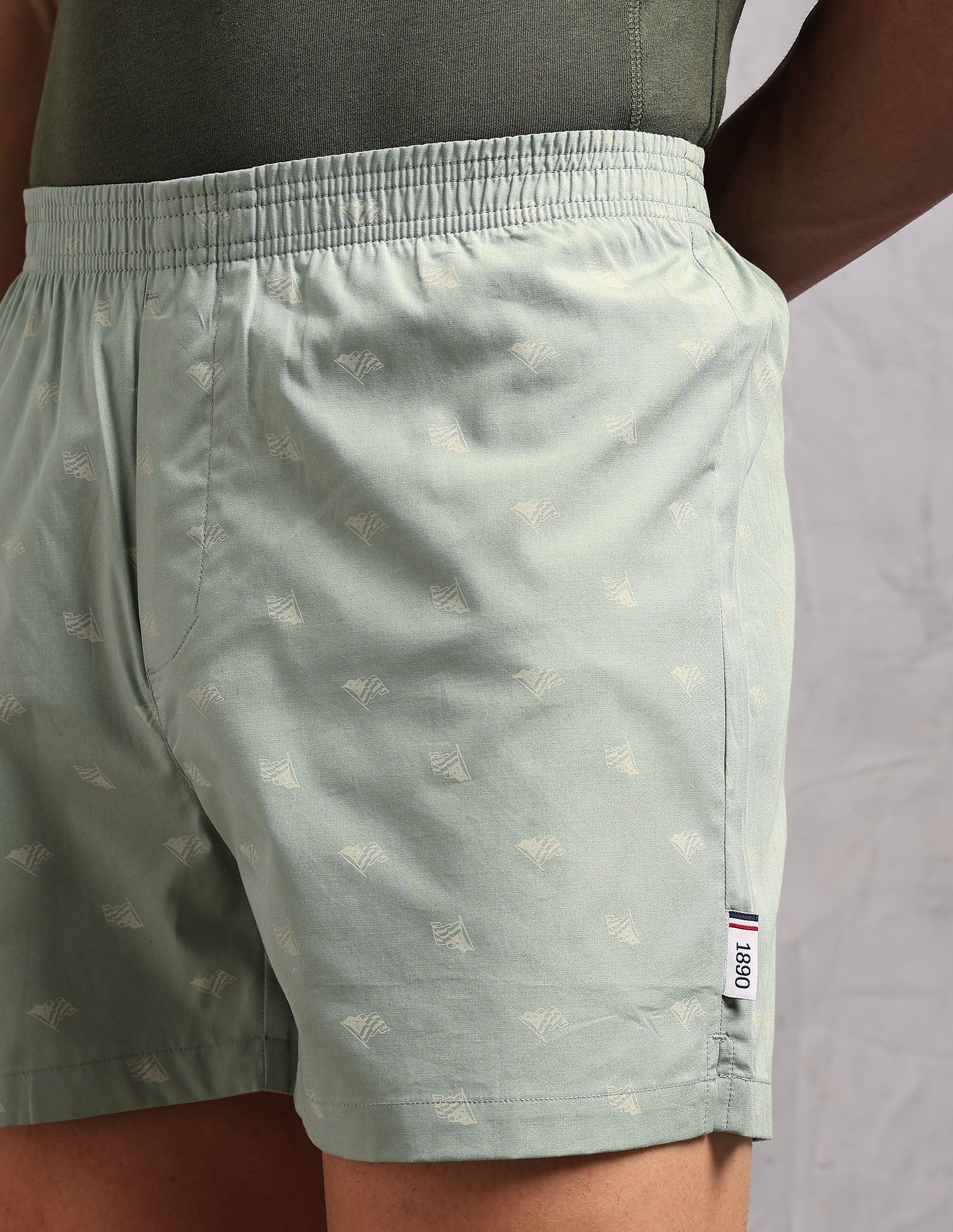 Printed Cotton OEX12 Boxers - Pack Of 1 Light Green - U.S. Polo Assn. India | Large