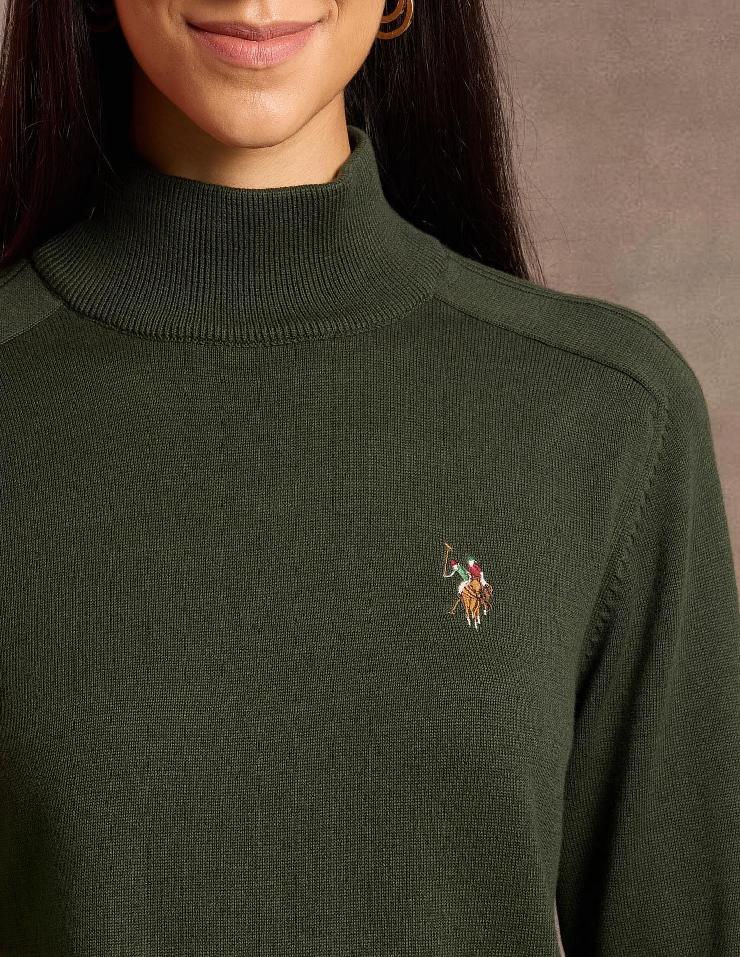 High Neck Solid Sweater Olive - U.S. Polo Assn. India | Large