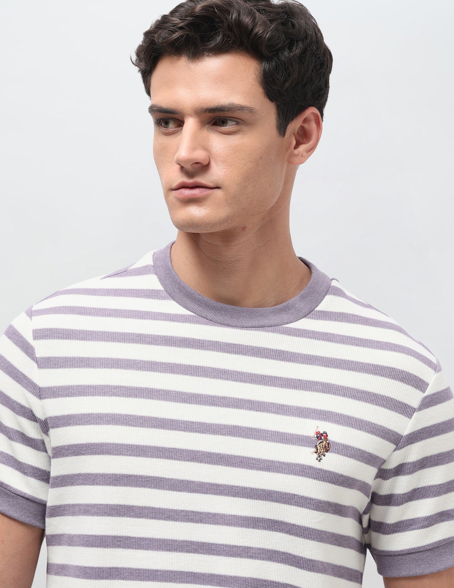 Horizontal Striped Slim Fit T-Shirt Lavender - U.S. Polo Assn. India | Large