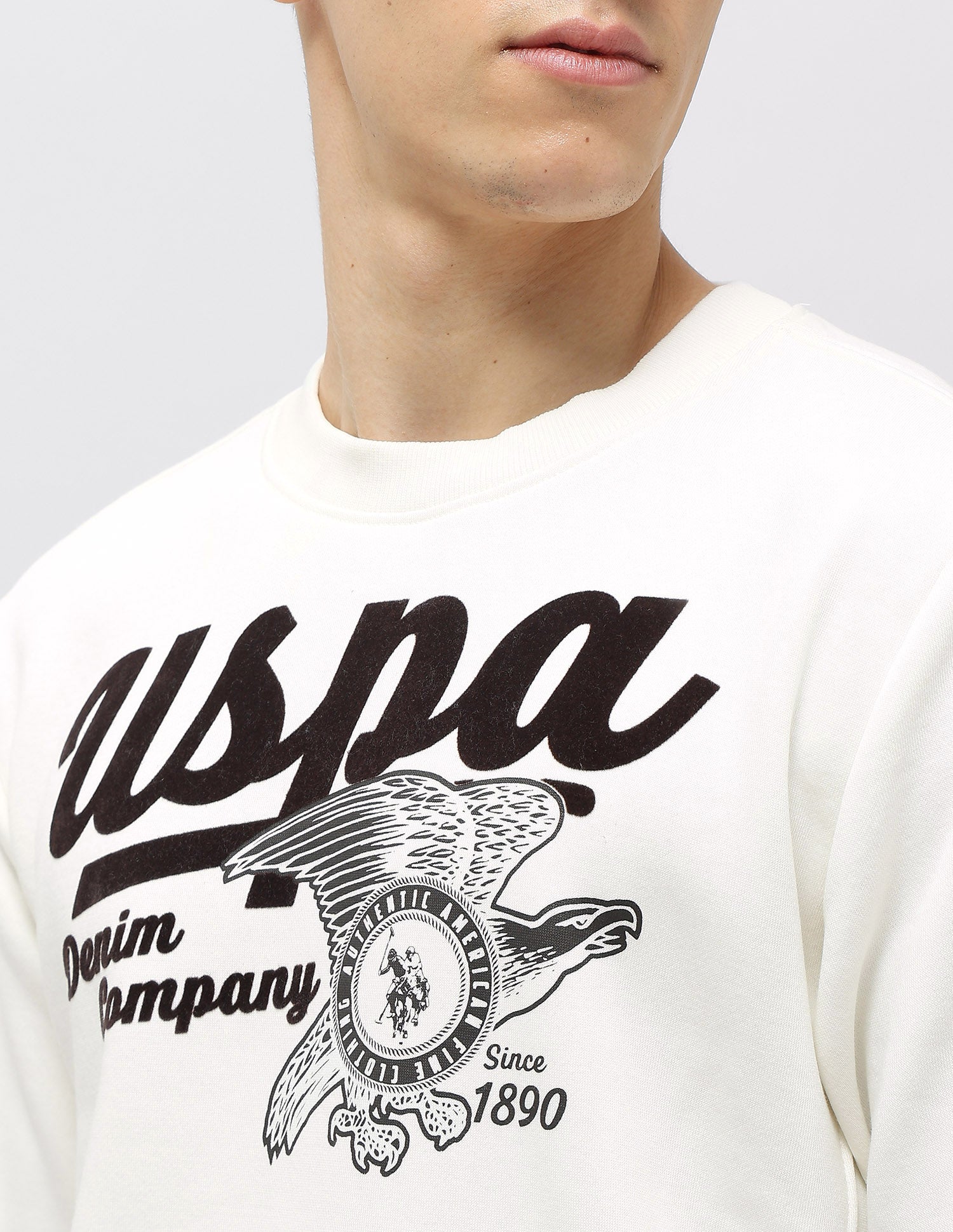 Graphic Brand Printed Sweatshirt Ecru - U.S. POLO ASSN. | Large