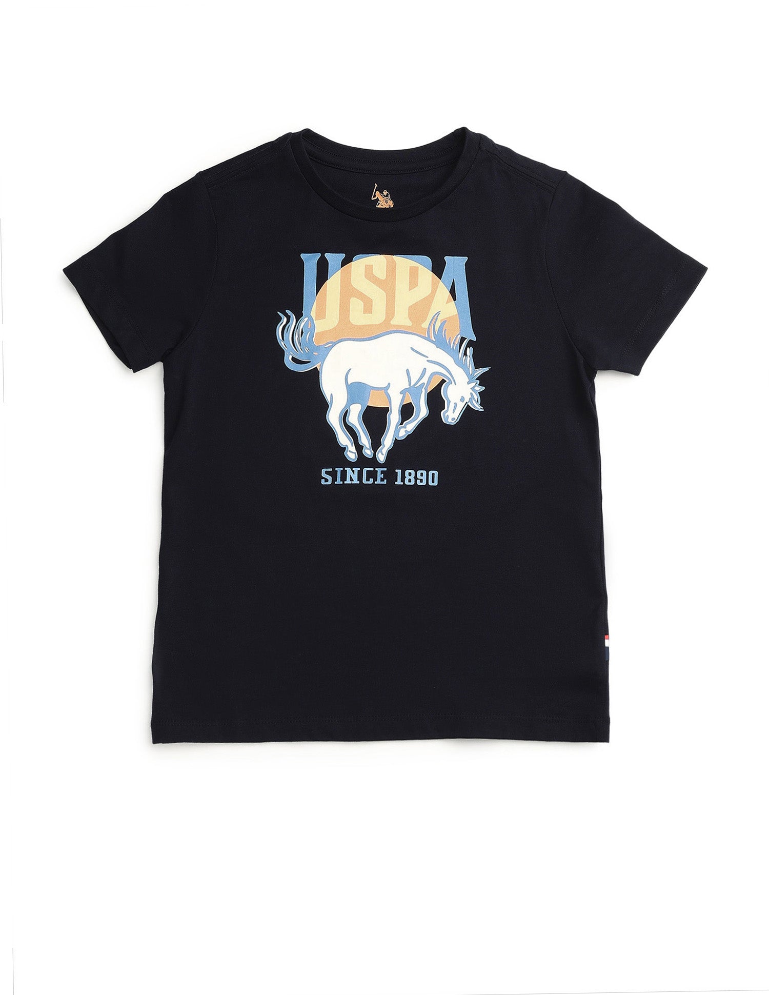 Boys Graphic Brand Printed Regular Fit T-Shirt Blue - U.S. POLO ASSN. | Large
