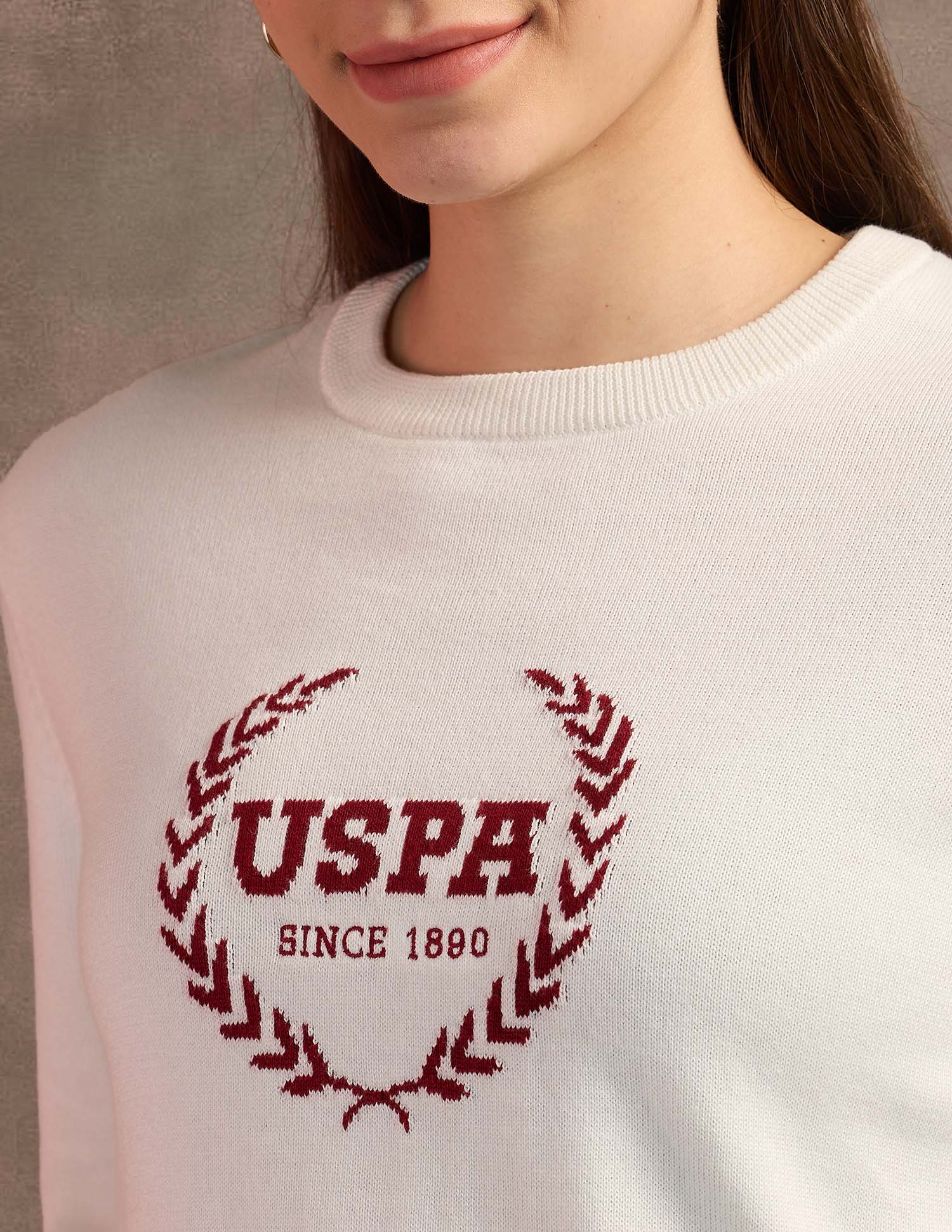 Regular Fit Cotton Sweater White - U.S. POLO ASSN. | Large