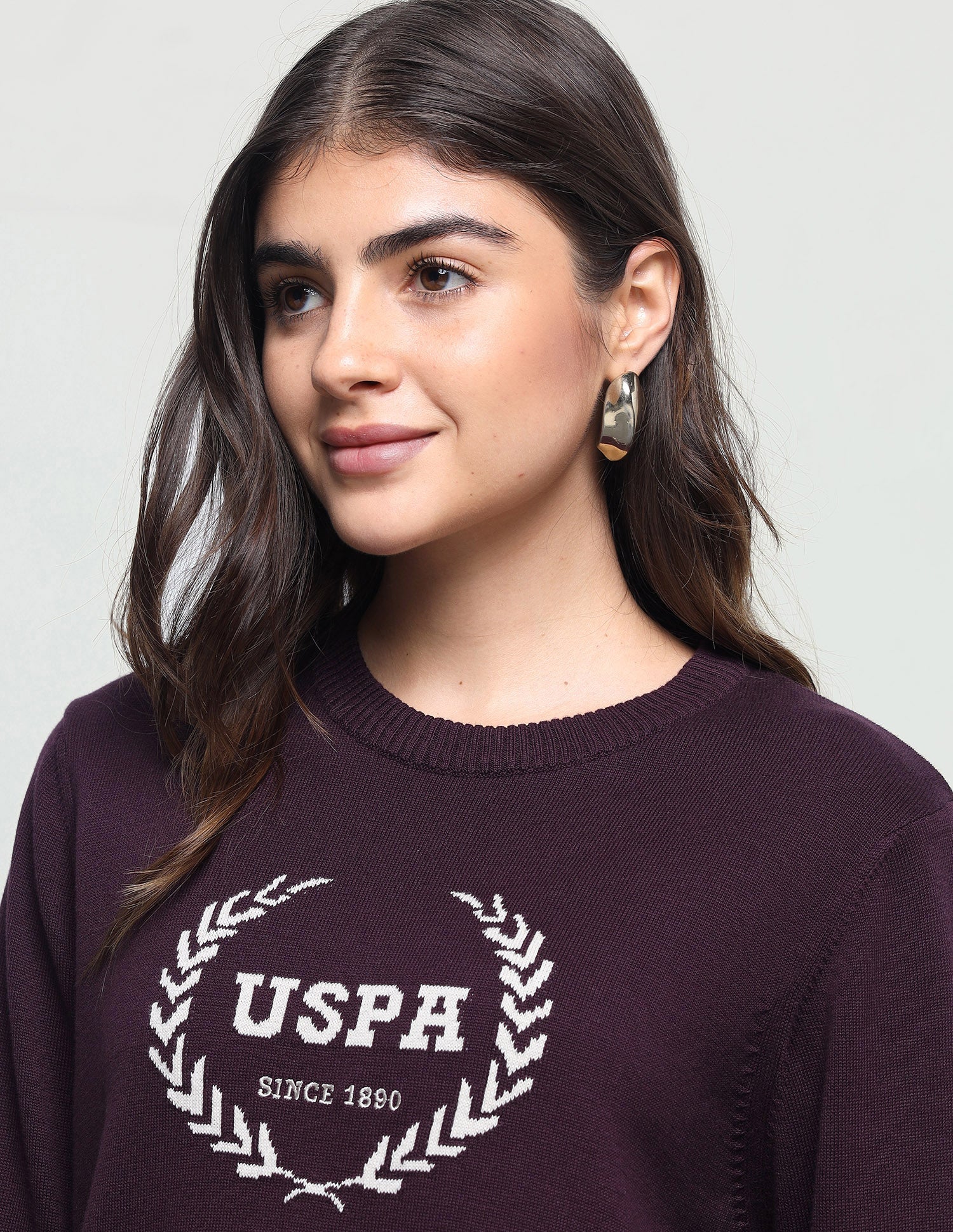 Brand Patterned Knit Regular Fit Sweater Purple - U.S. Polo Assn. India | Large
