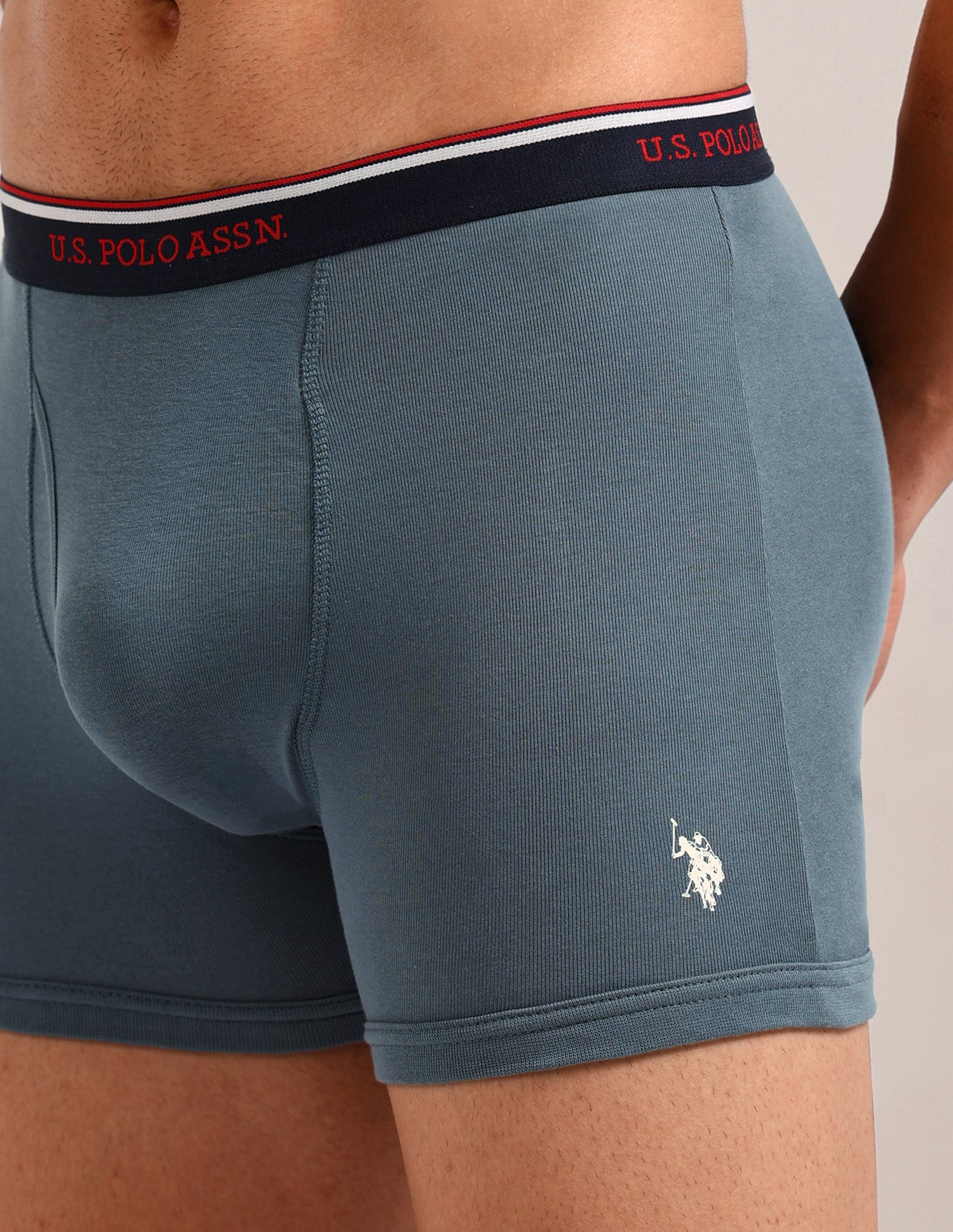 Pure Cotton Rib I667 Trunk Pale Olive Green/Bracken - U.S. Polo Assn. India | Large