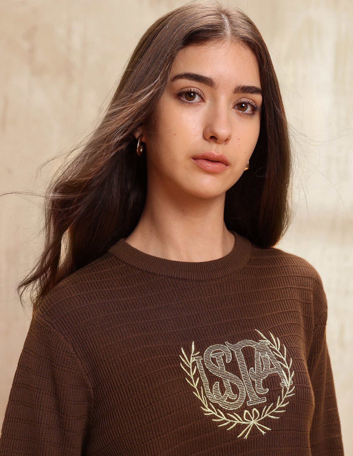 Regular Fit Brand Embroidered Sweatshirt Brown - U.S. POLO ASSN. | Large