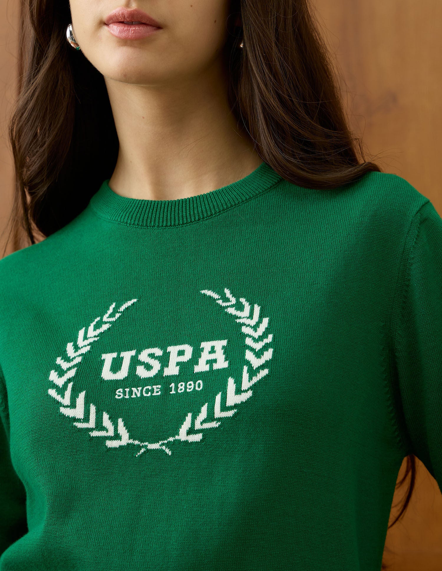 Brand Printed Relaxed Fit Sweater Green - U.S. POLO ASSN. | Large