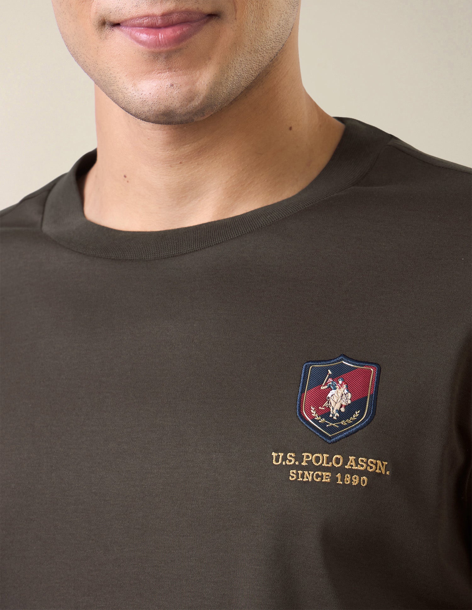 Solid Slim Fit T-Shirt Dark Brown - U.S. Polo Assn. India | Large